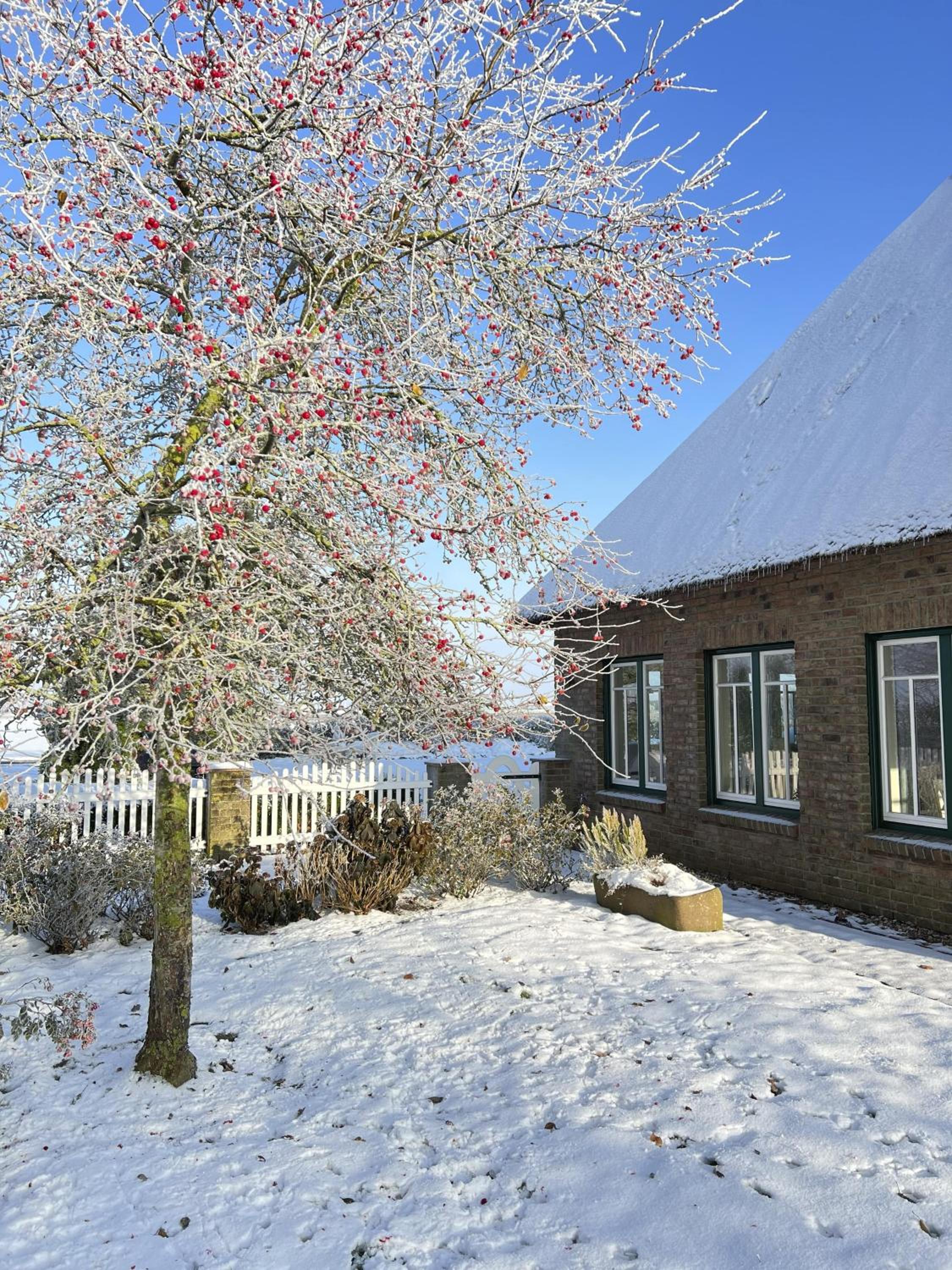 Reetdachhaus KüstenVilla Büsum