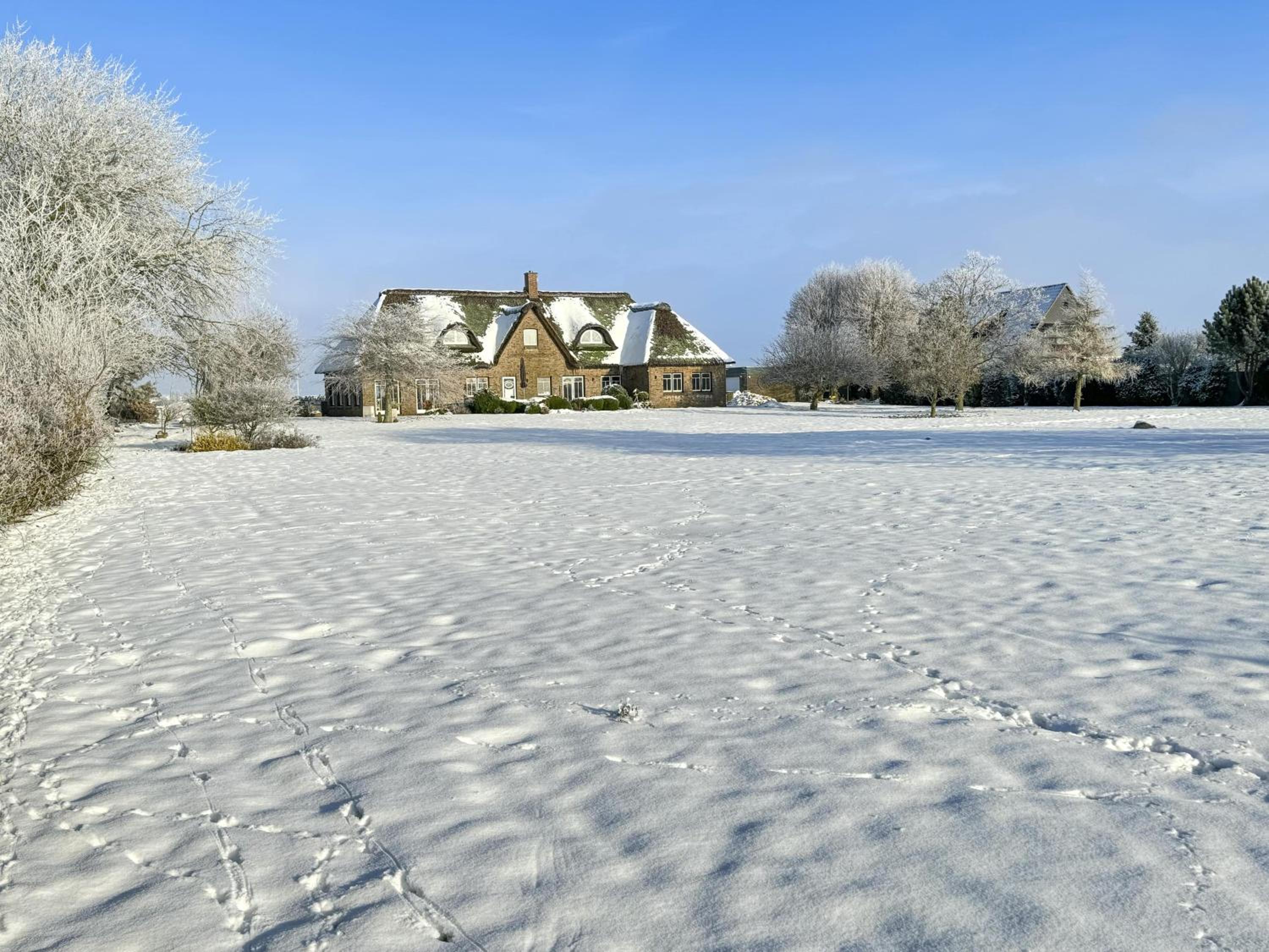 Reetdachhaus KüstenVilla Büsum