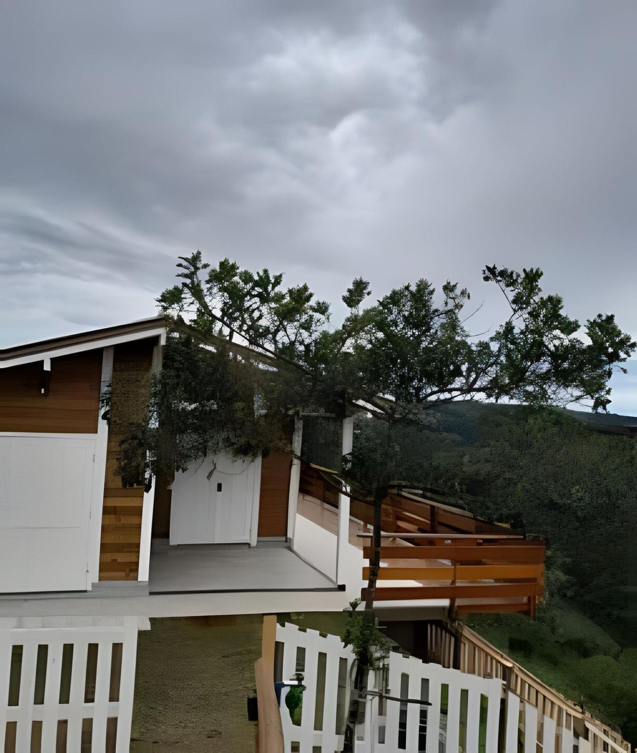 Alto da Mantiqueira - Cerejeira