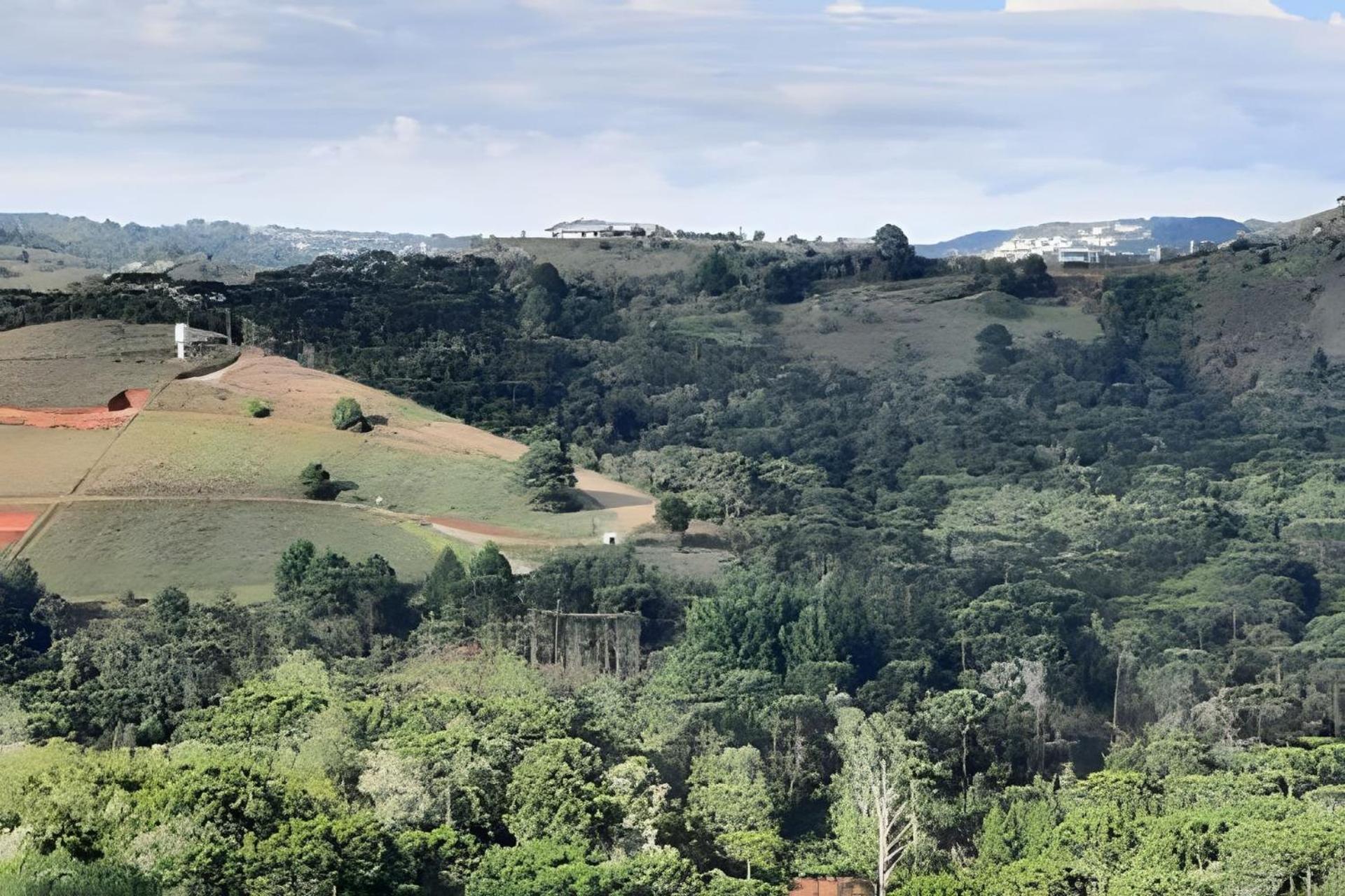 Alto da Mantiqueira - Manacá