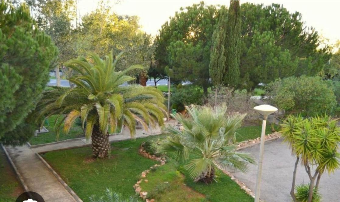 Amazing 1-bedroom apartment near Vilamoura Marina with fast Wifi and free parking view 3