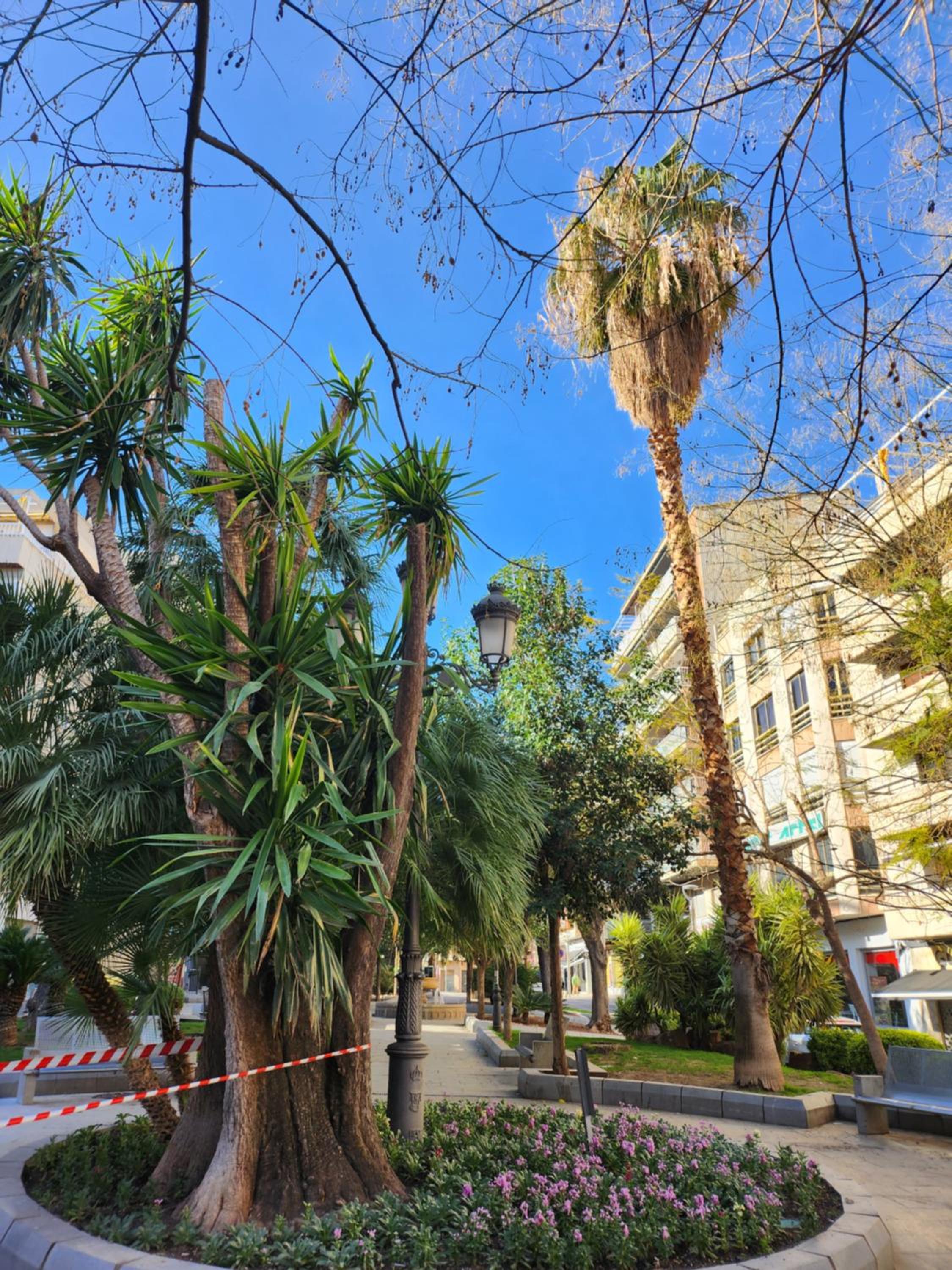 Apartamento de 3 dormitorios Jardinillos Centro