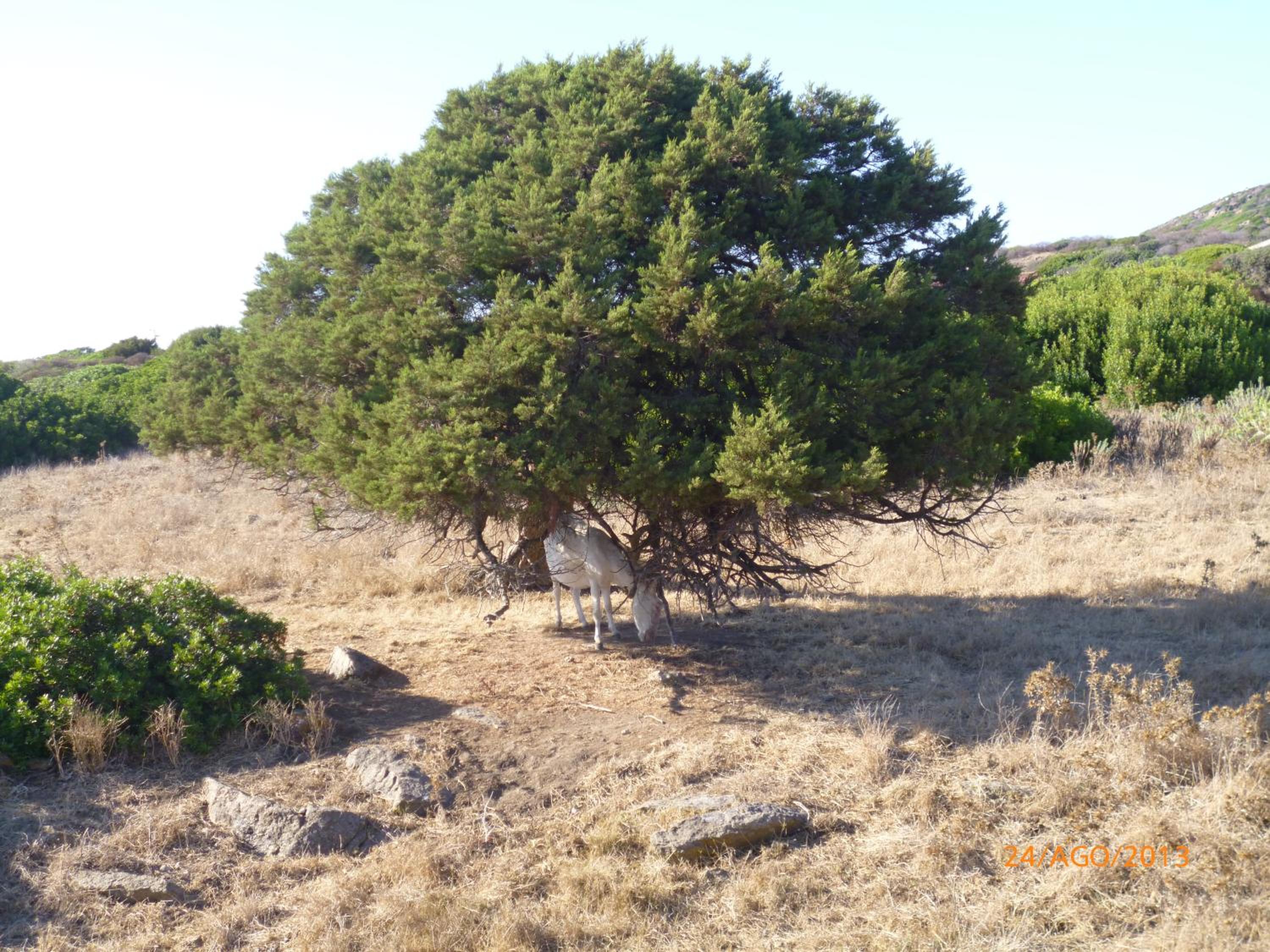 Agriturismo Cuile de Molino