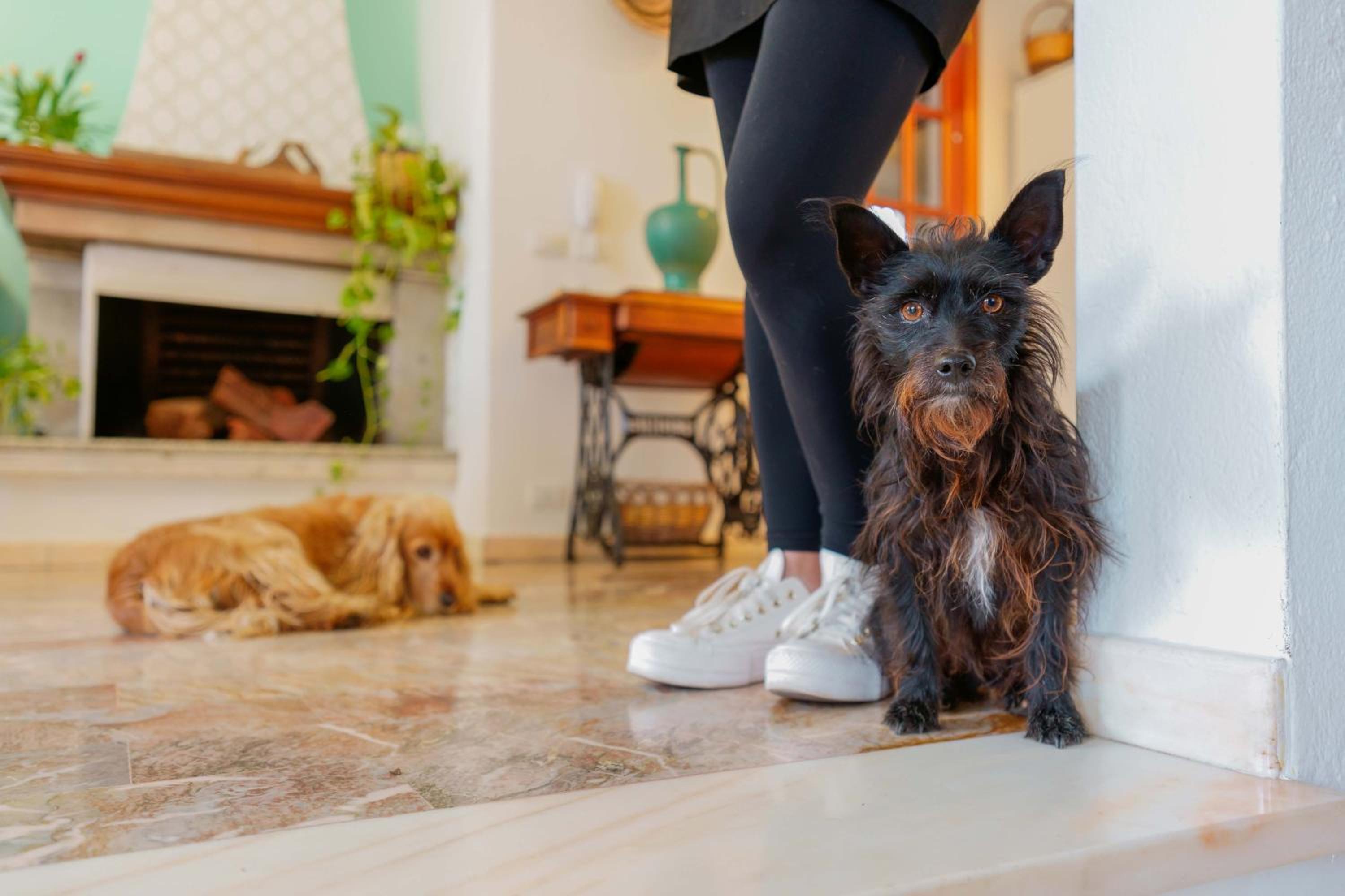 Photo 16