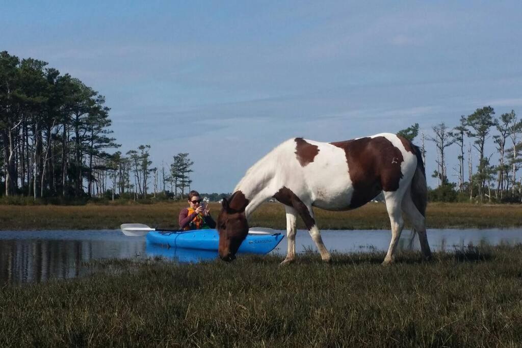 Horseshoe Haven