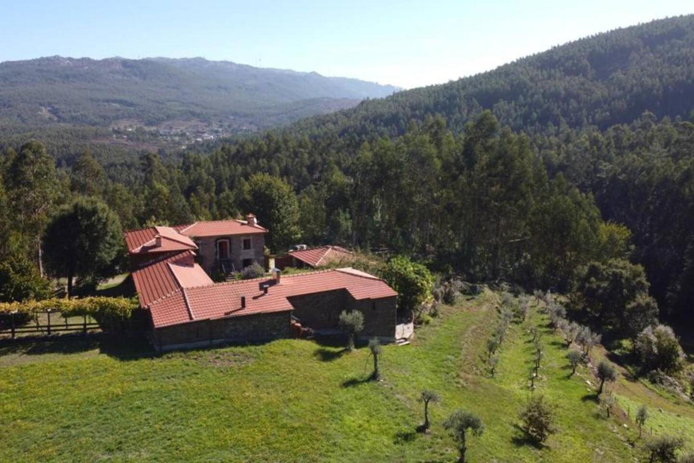 Spacious and comfortable house in Freimoninho with terrace view 5