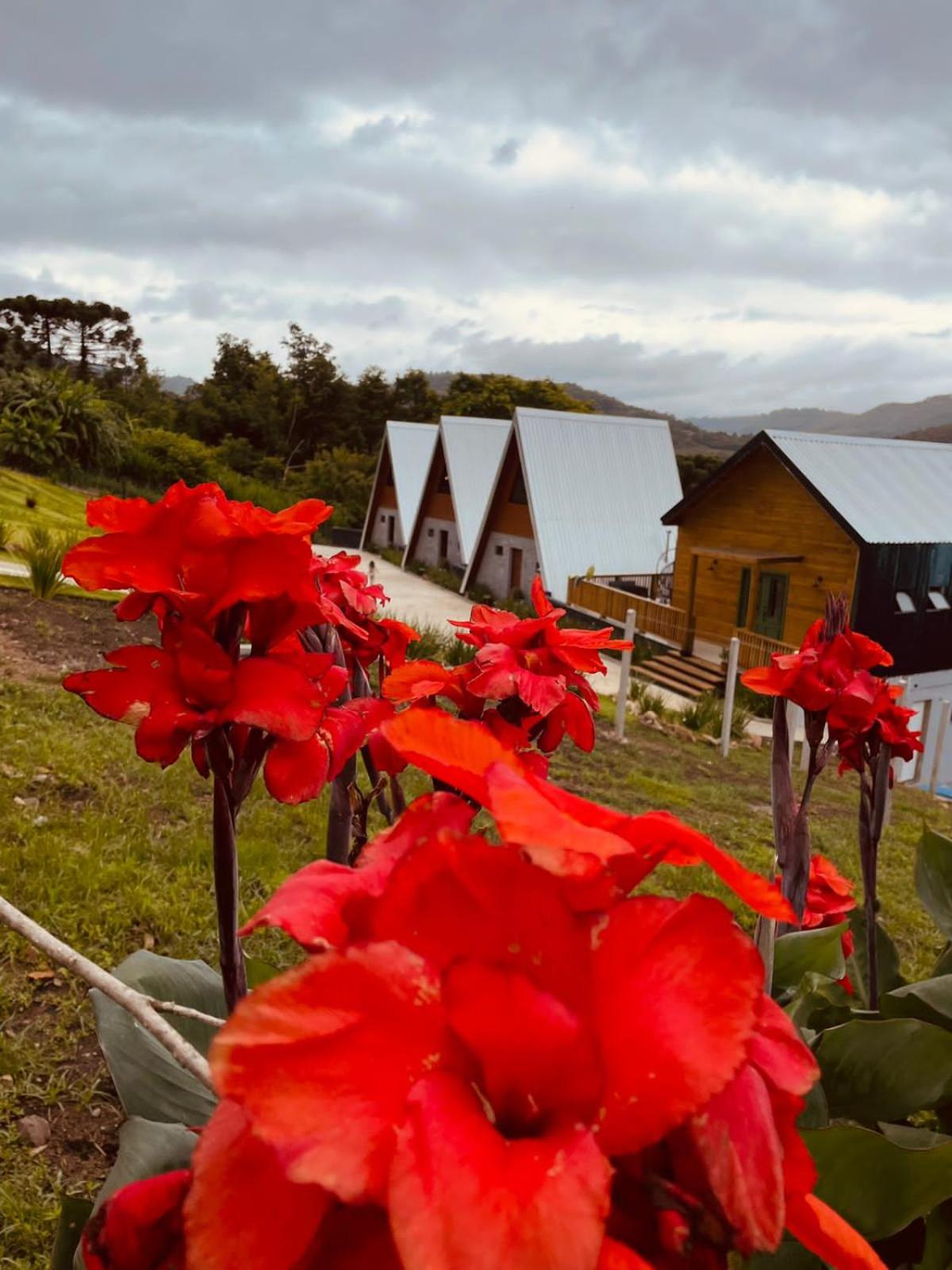 Reserva Linha Bonita - Chalés Românticos