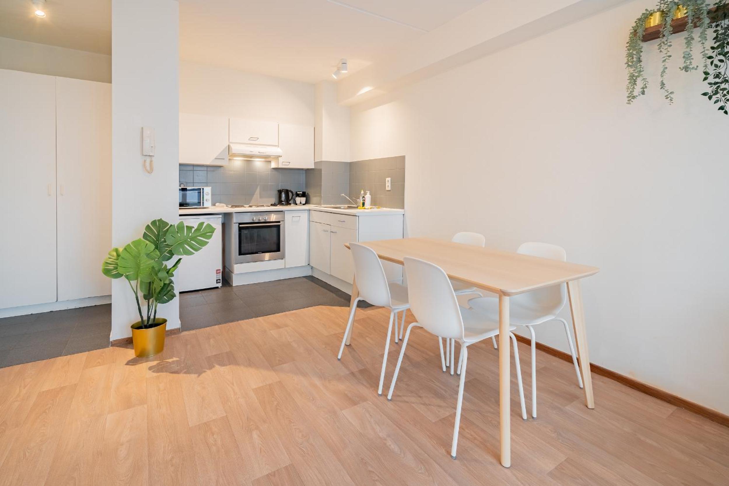 Bright Apartments In The Heart Of Antwerp