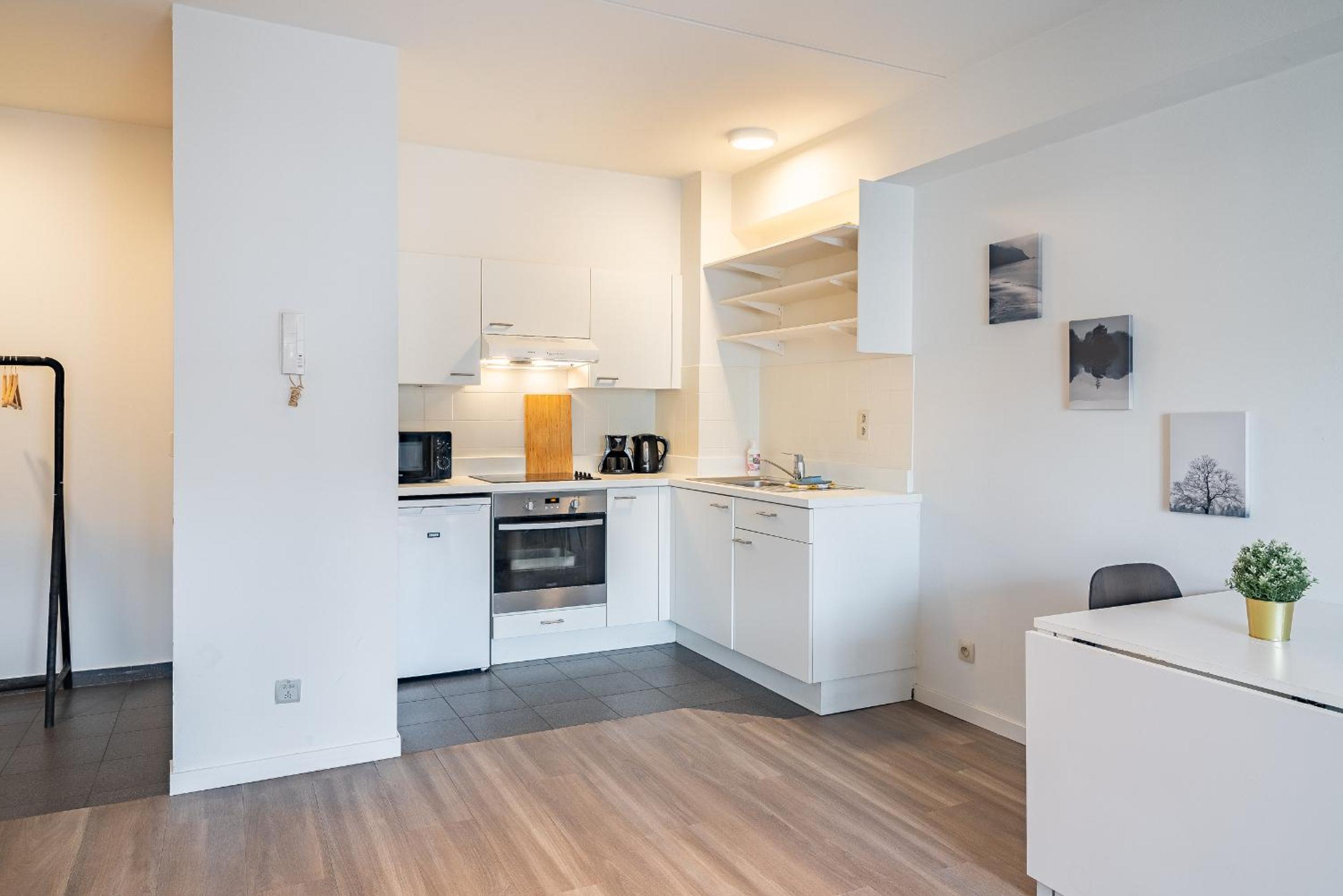 Bright Apartments In The Heart Of Antwerp