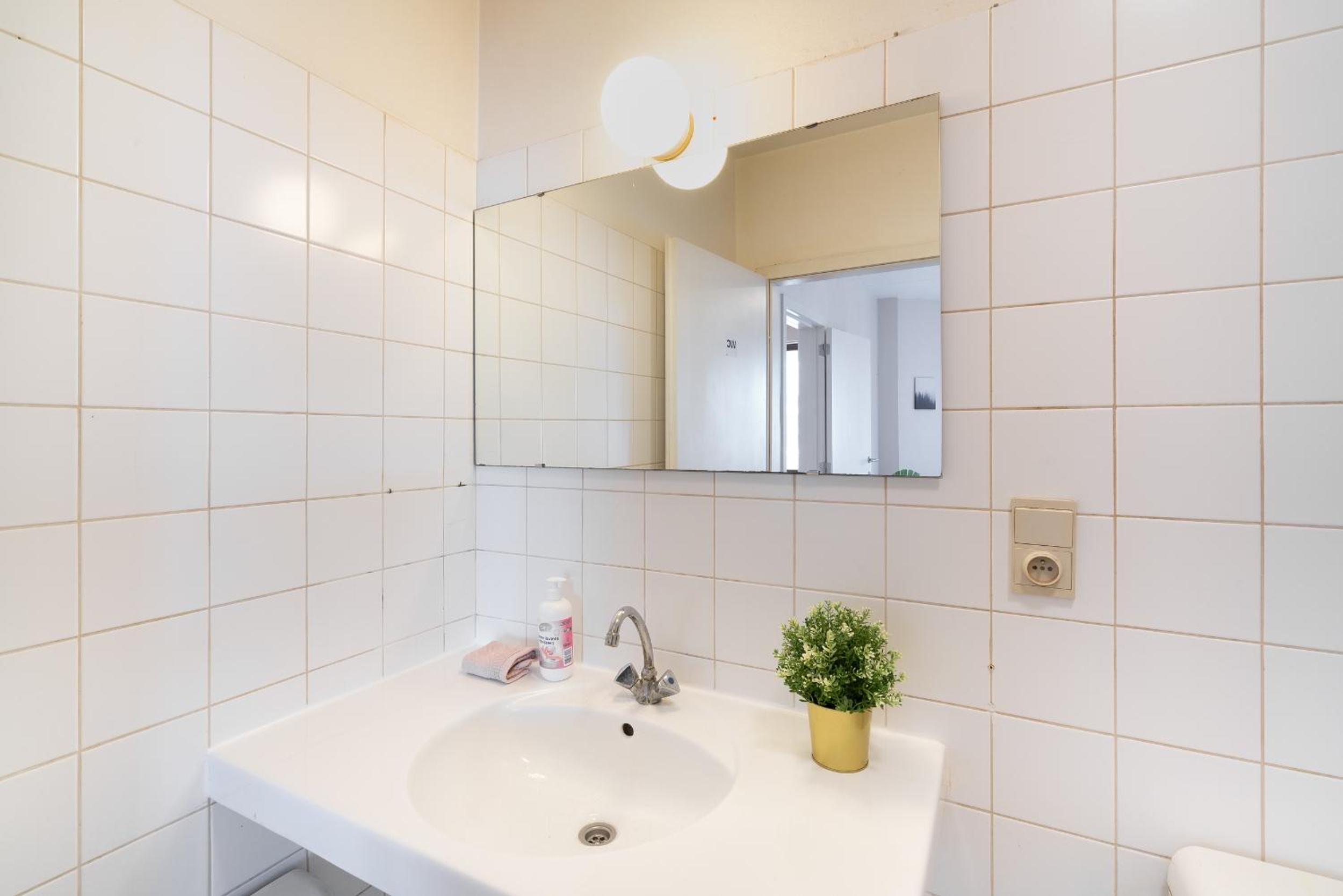 Bright Apartments In The Heart Of Antwerp