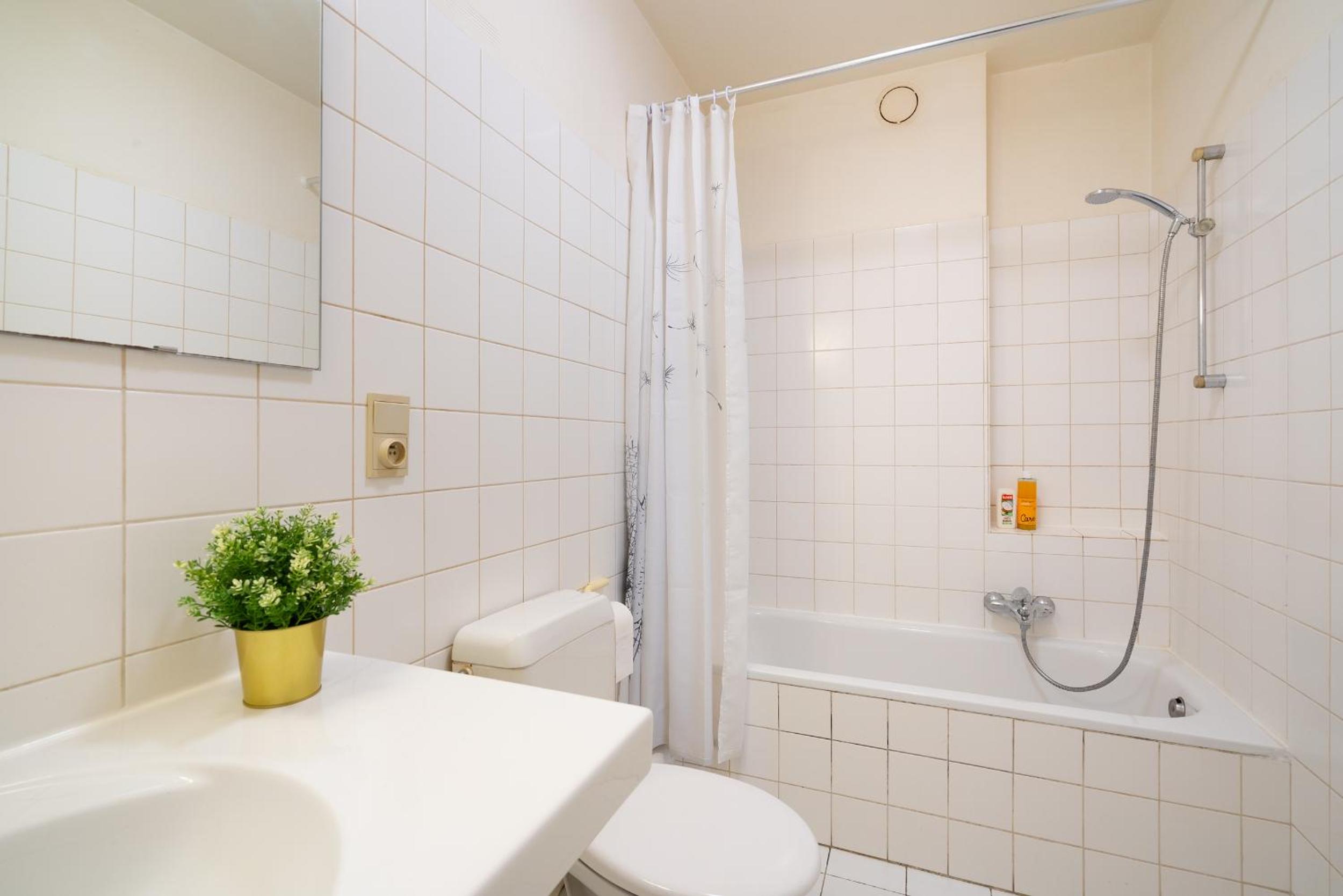 Bright Apartments In The Heart Of Antwerp