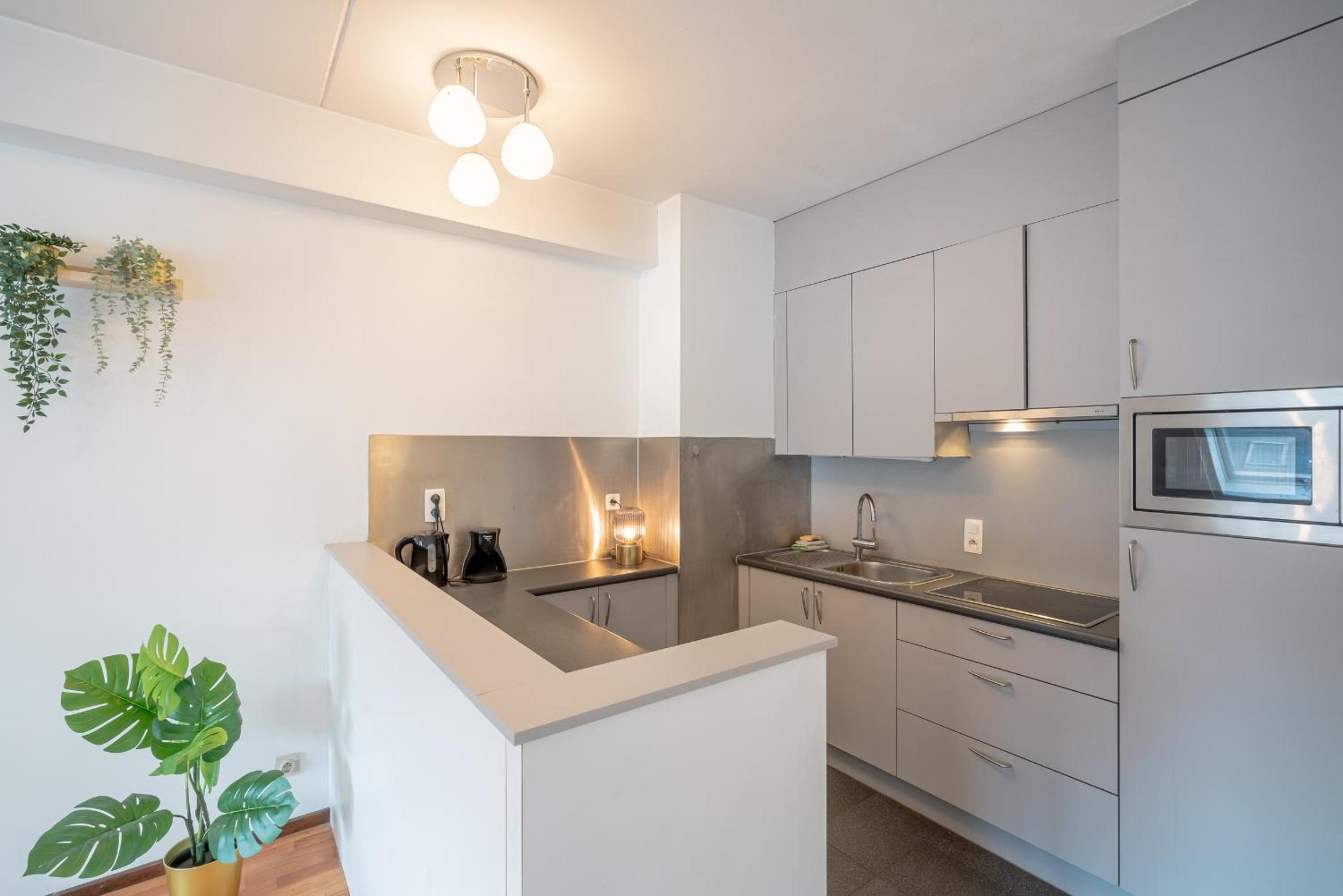 Bright Apartments In The Heart Of Antwerp