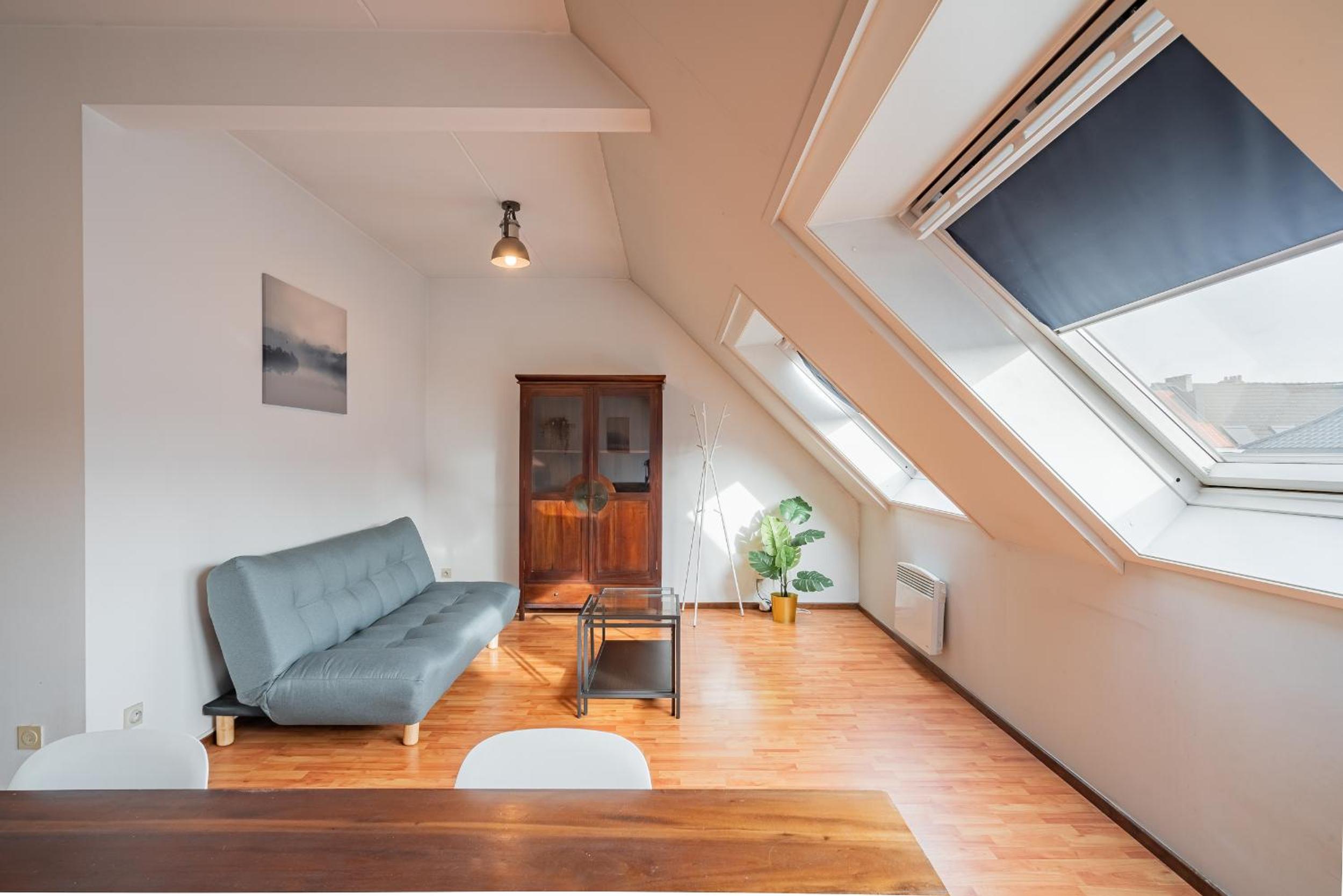 Bright Apartments In The Heart Of Antwerp