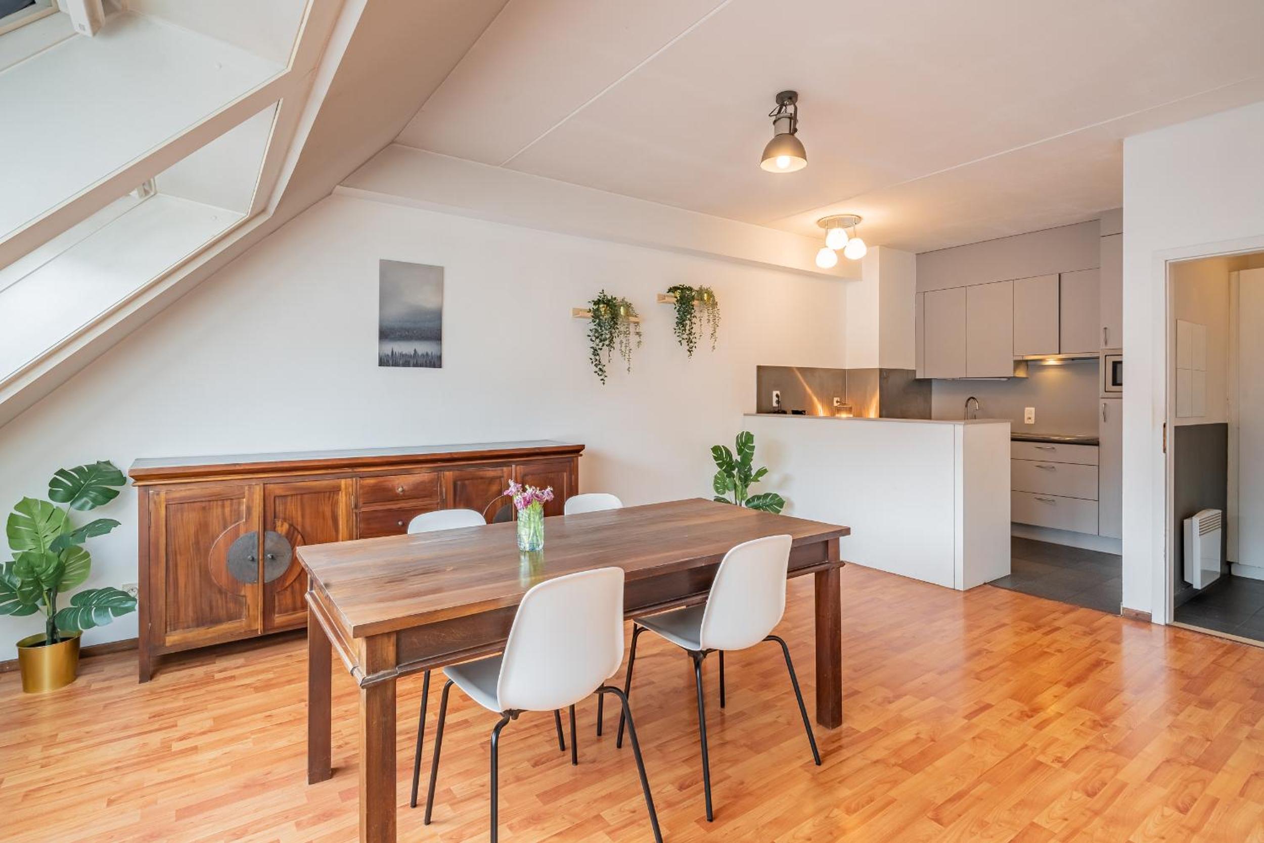 Bright Apartments In The Heart Of Antwerp