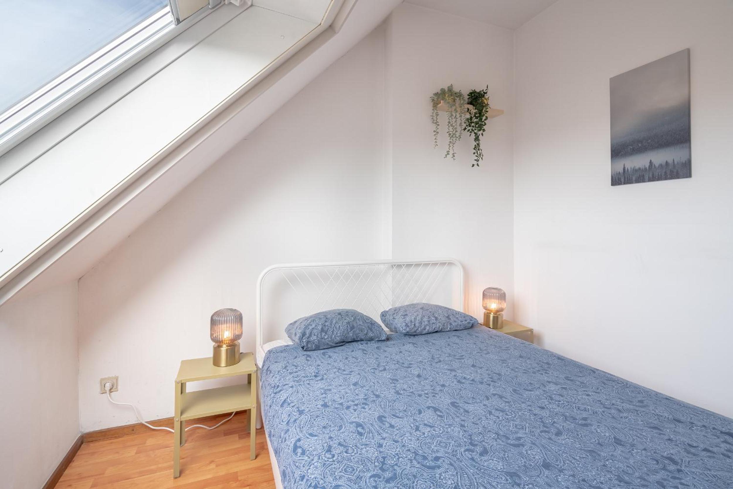 Bright Apartments In The Heart Of Antwerp