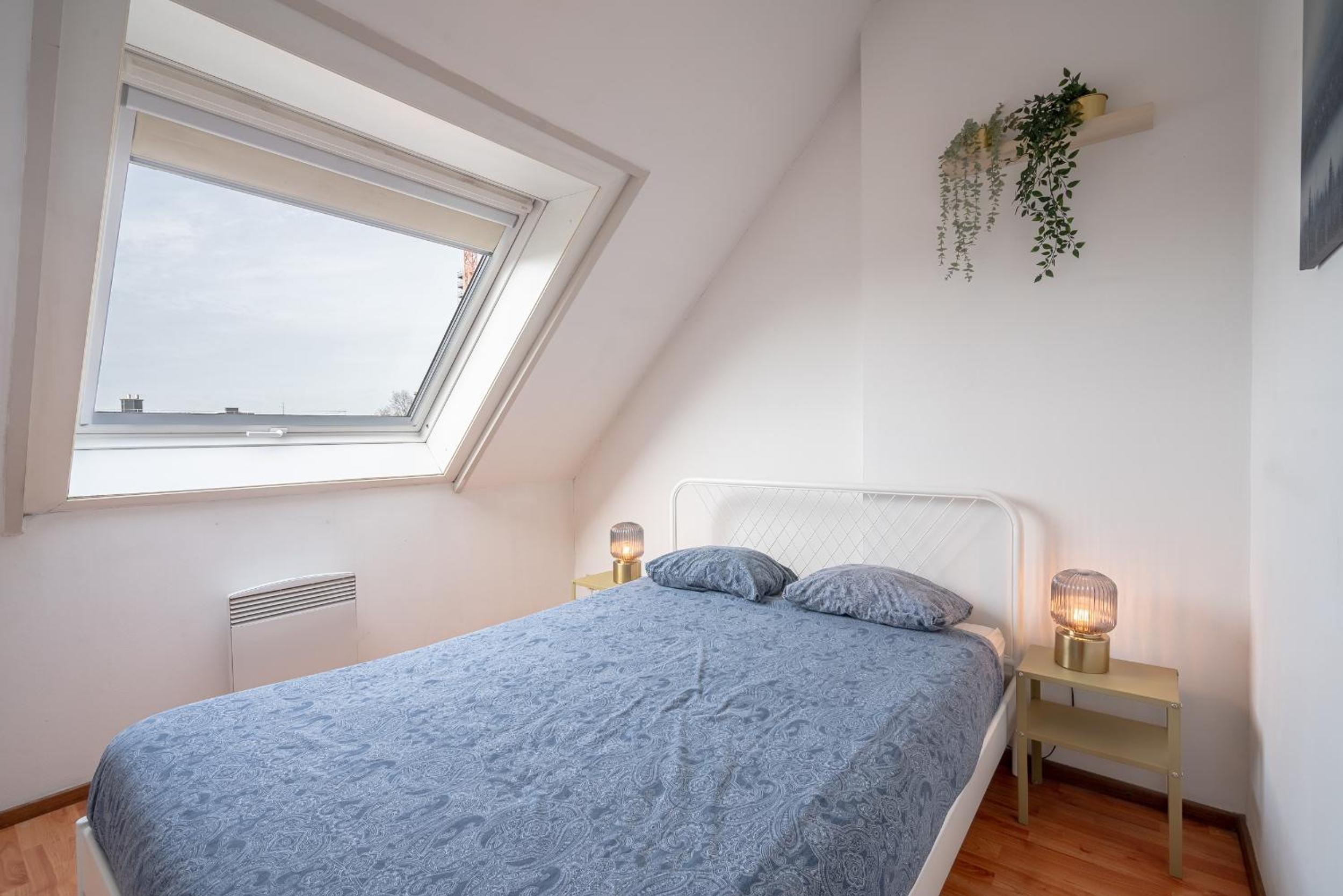 Bright Apartments In The Heart Of Antwerp