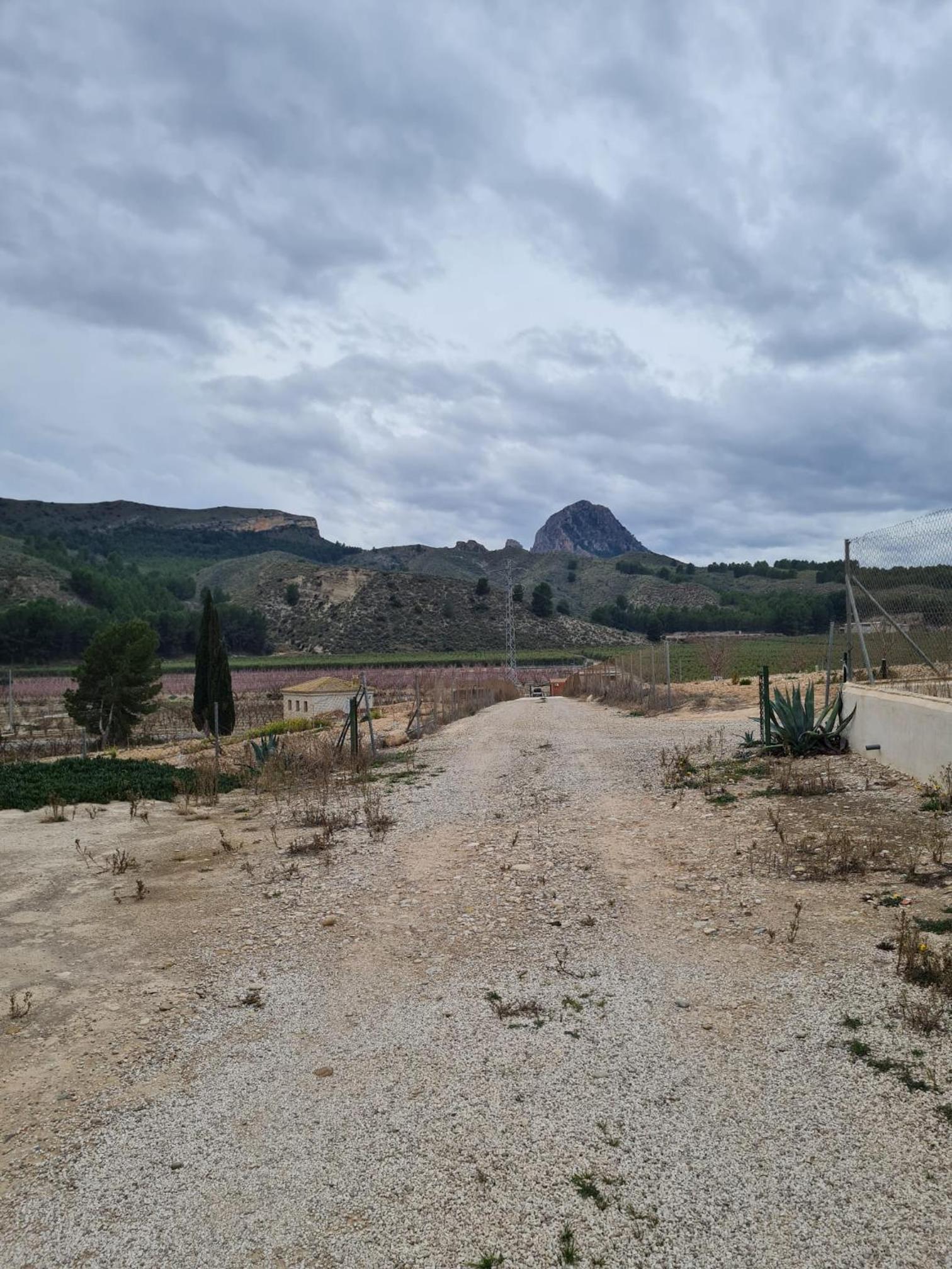 El Cabezo de la Torre