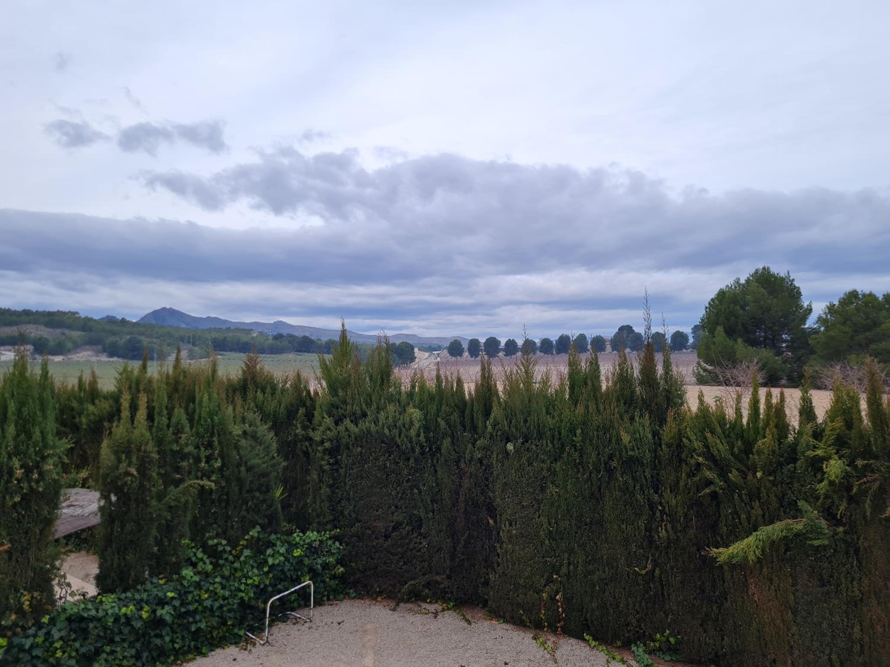 El Cabezo de la Torre