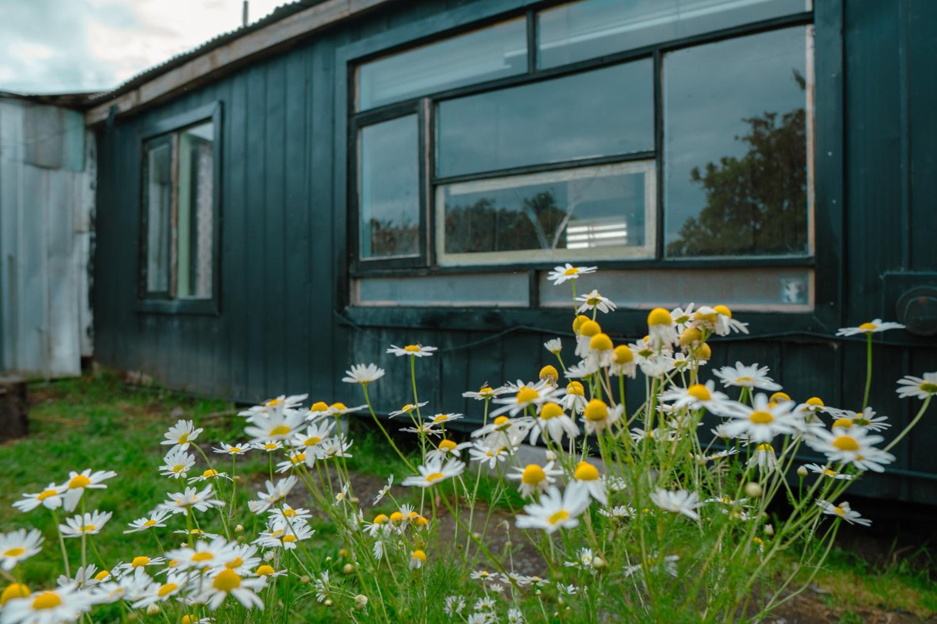 Magic House Patagonia