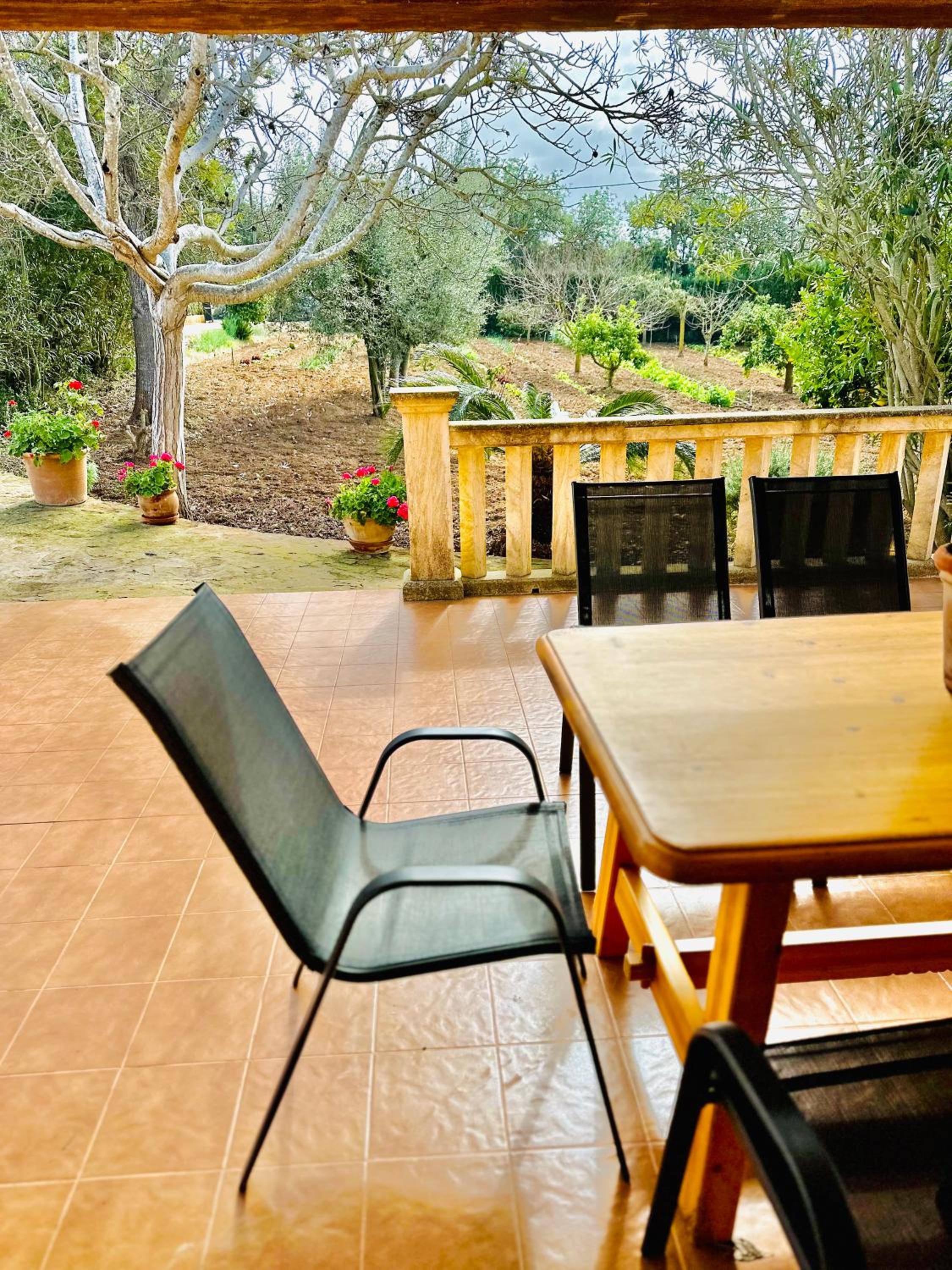 Finca Ses Barraques