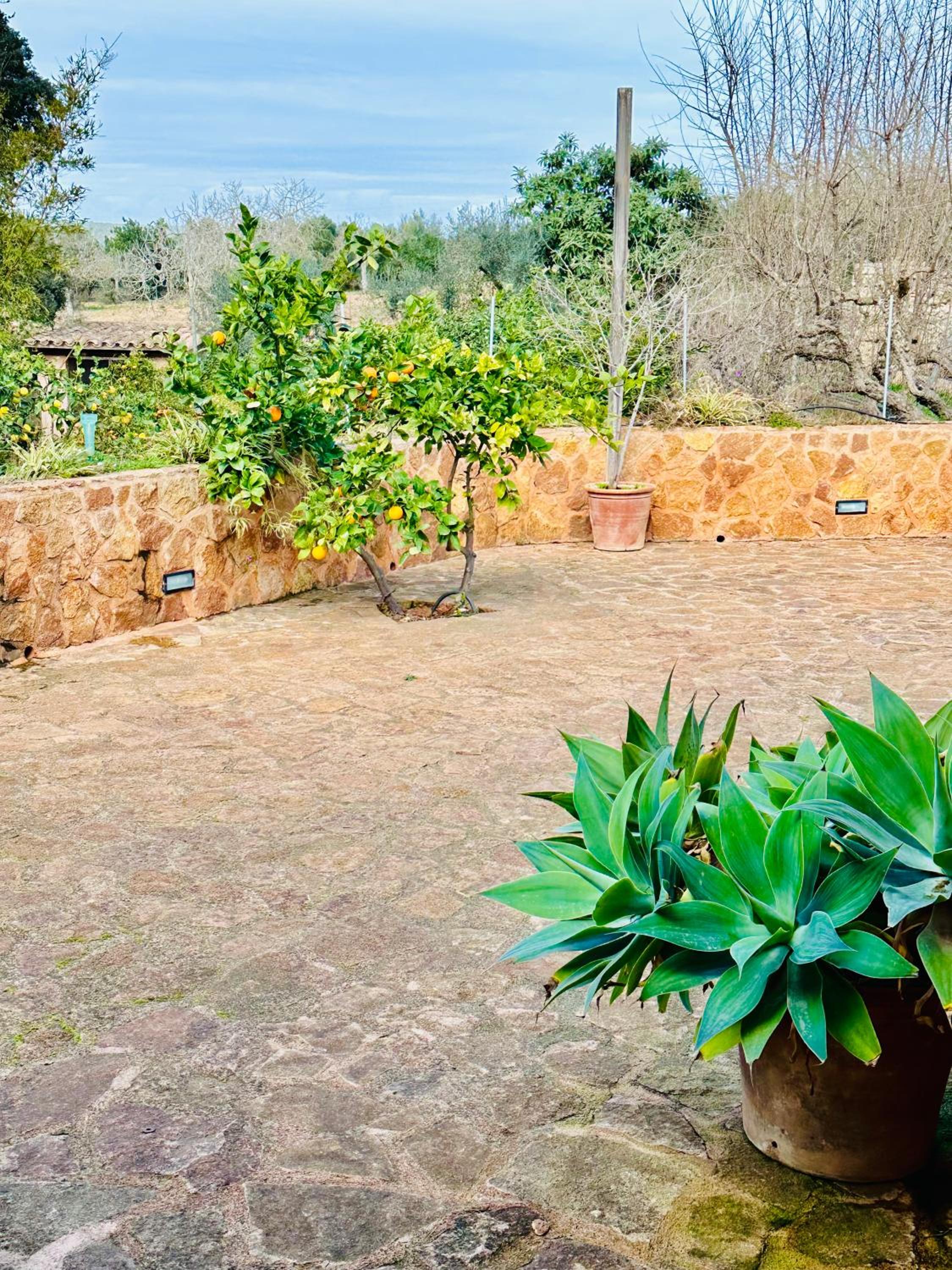 Finca Ses Barraques