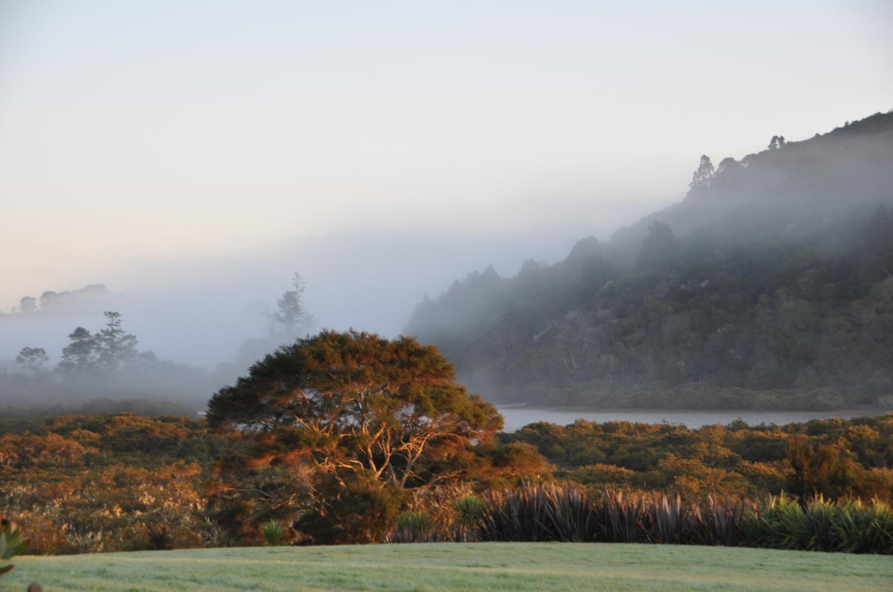 Okura River Estate Getaway