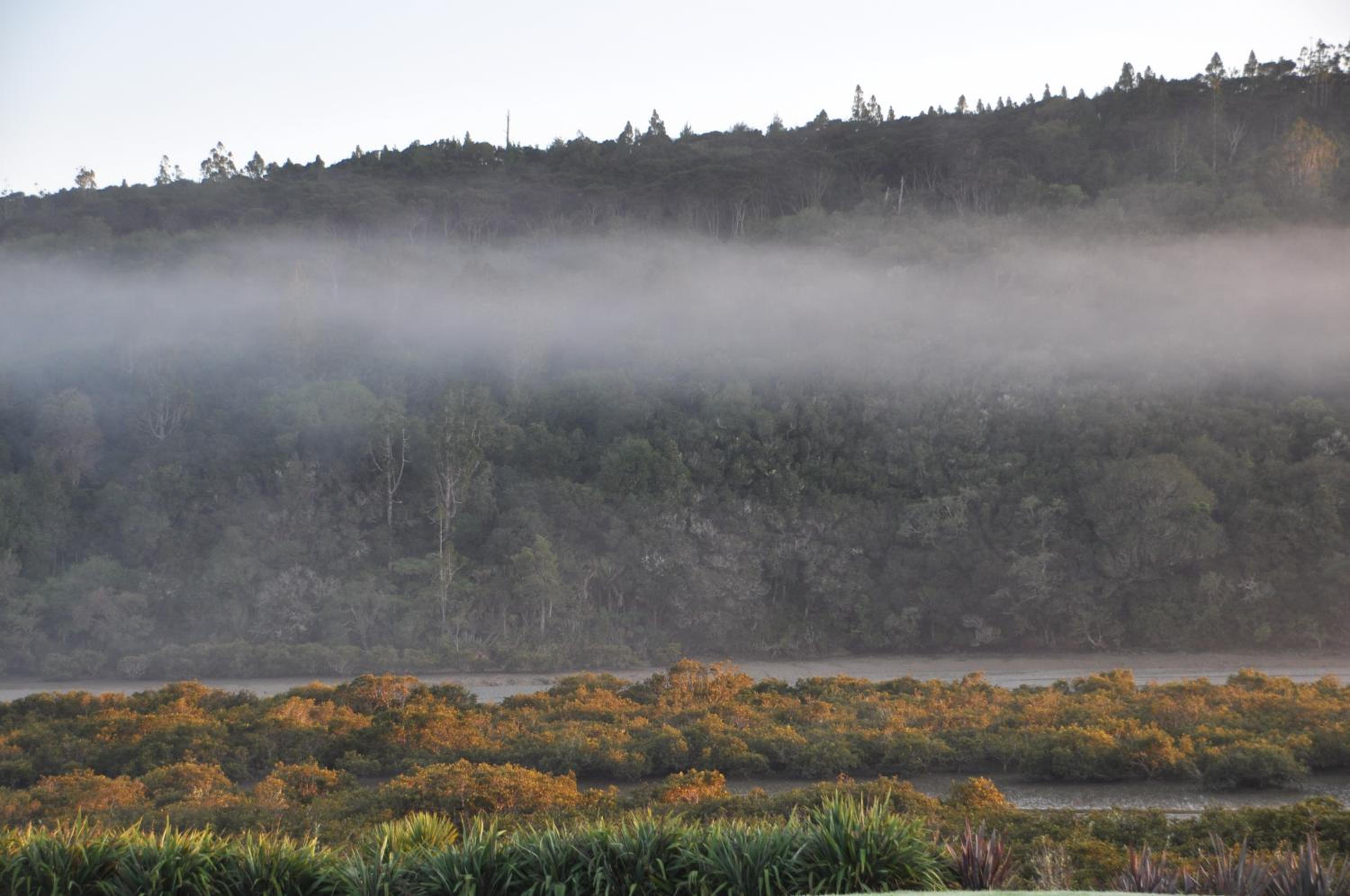 Okura River Estate Getaway