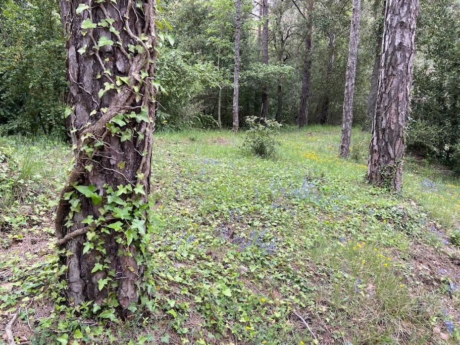 Photo 32