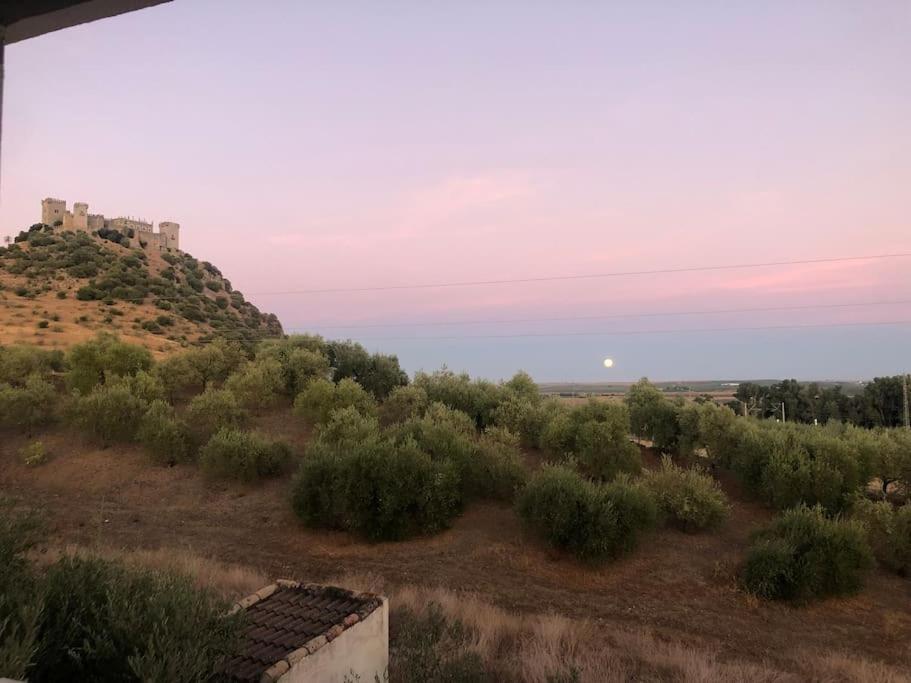 Casa Caraza. Un olivar con vistas al castillo de Juego de Tronos view 2