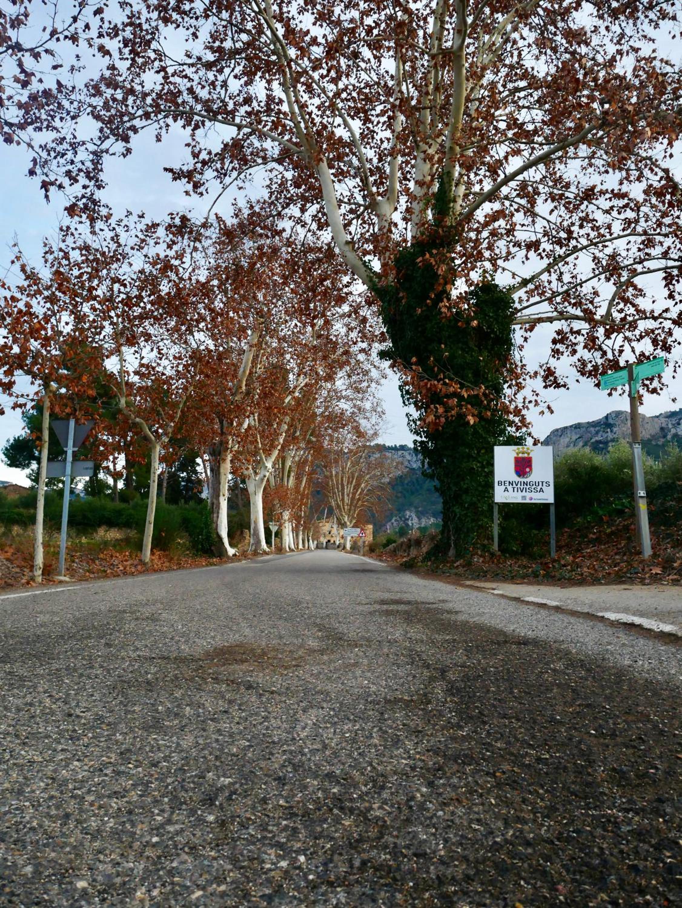Apartament rural Monetze