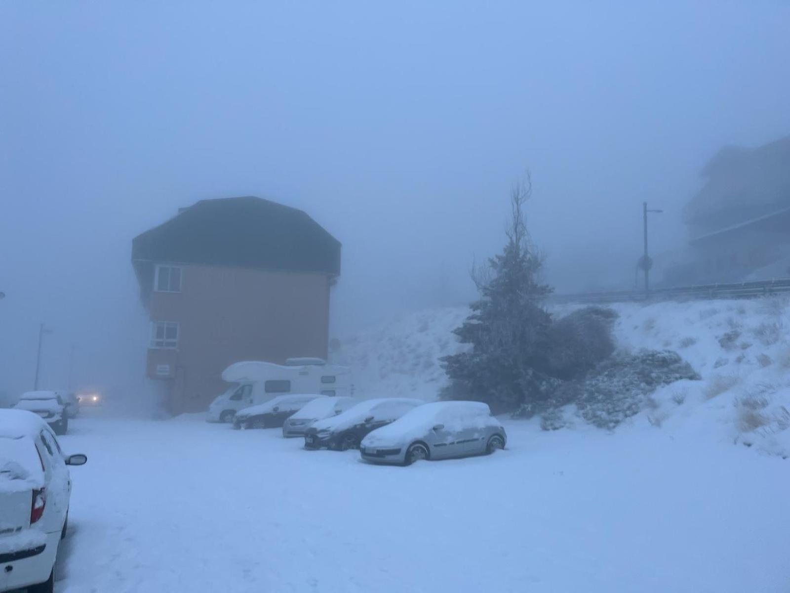 Biznaga Nevada