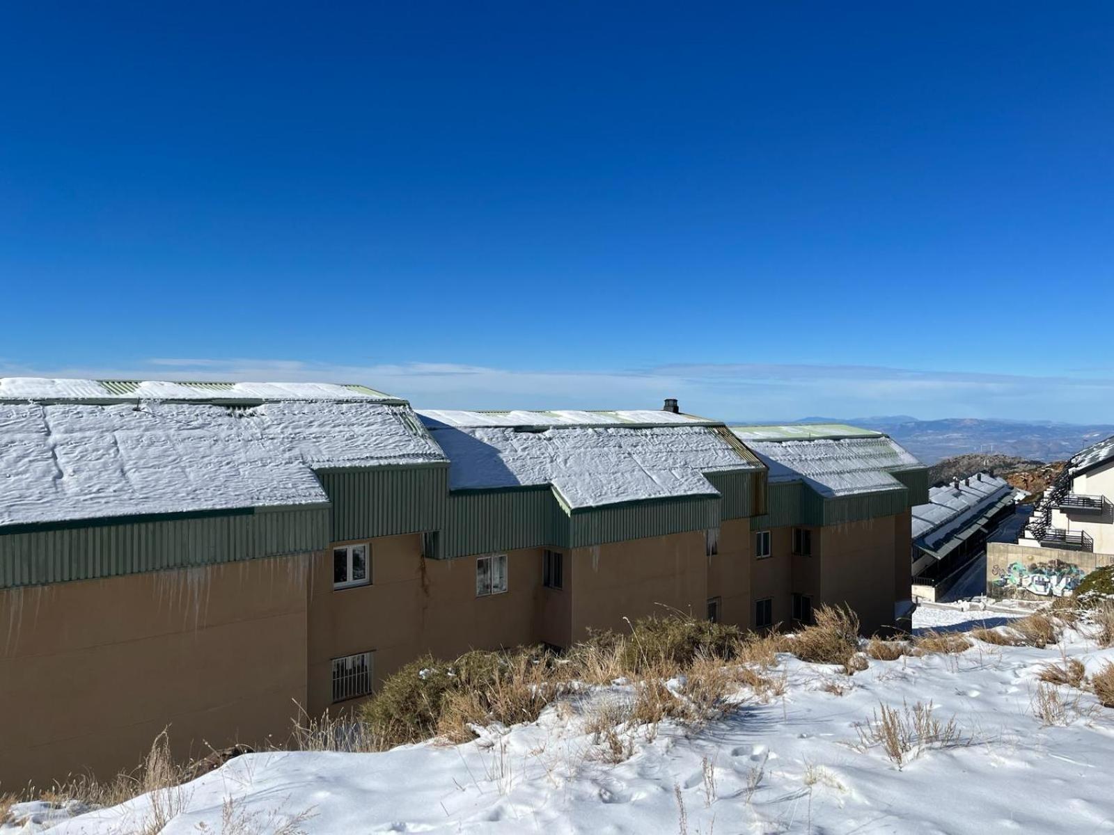 Biznaga Nevada