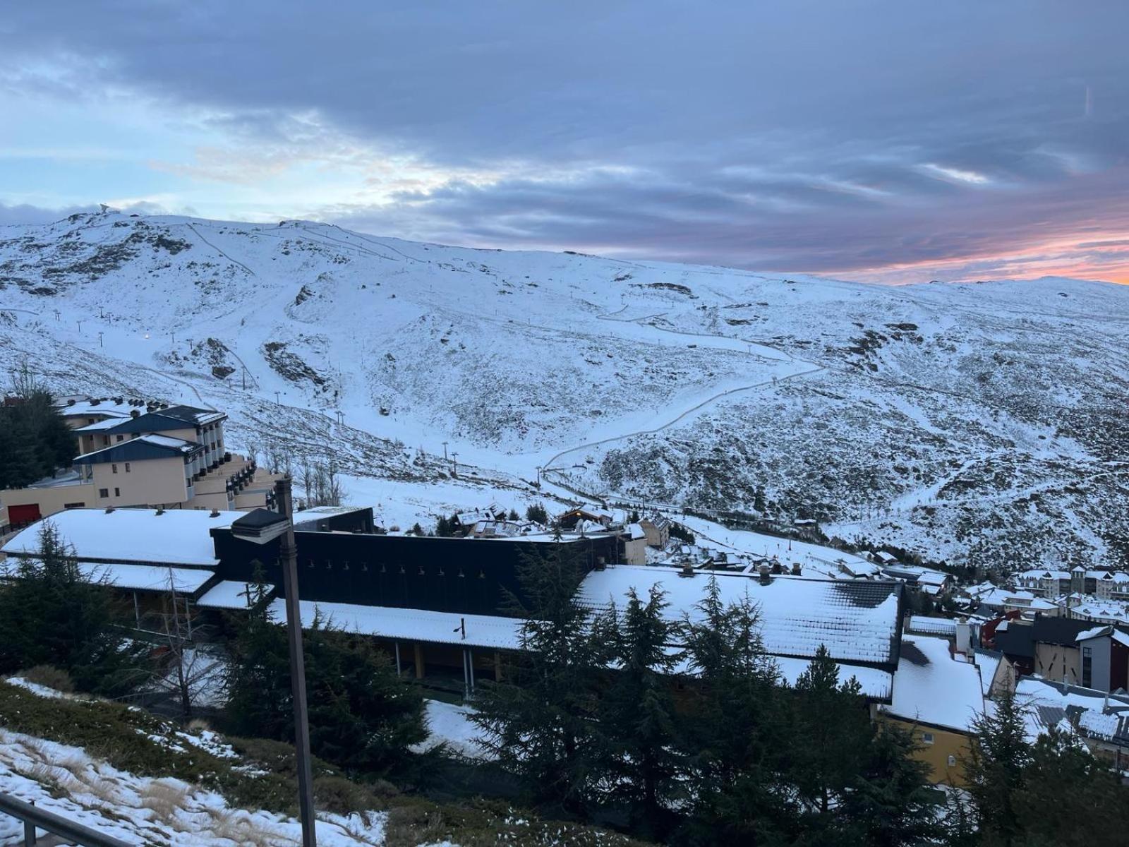 Biznaga Nevada