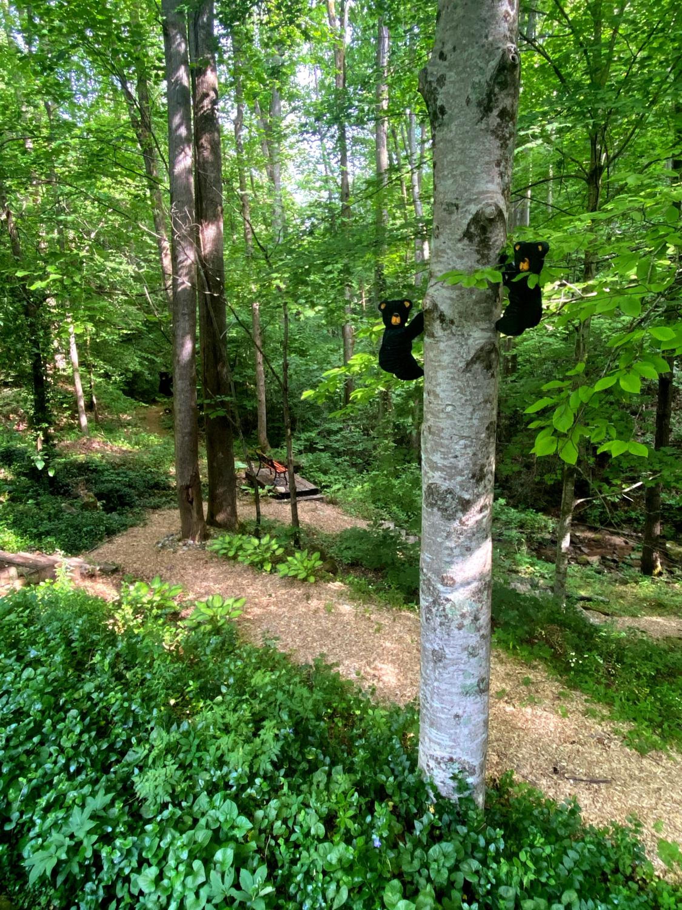 Photo 43