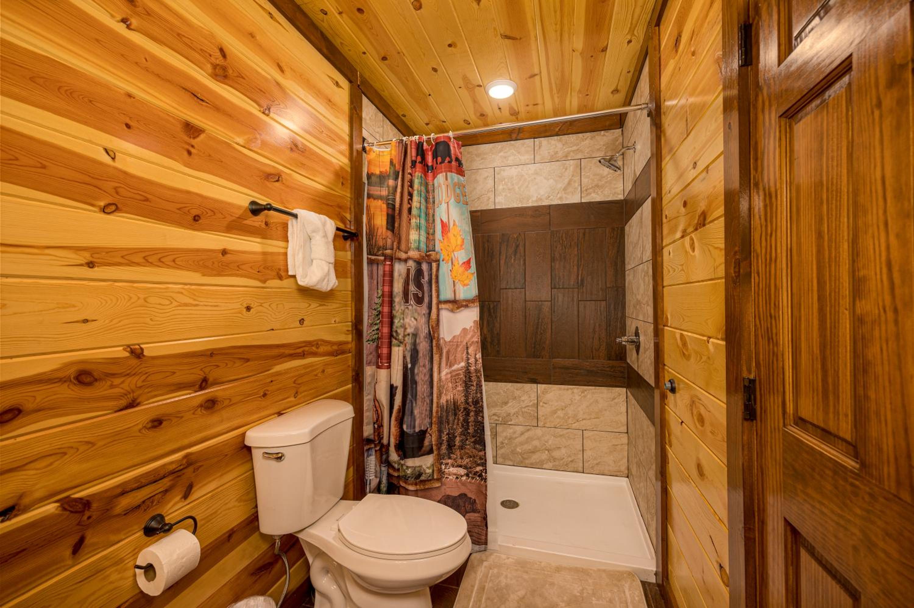 Papa Bear's Mountain Lodge-amazing gametheater room, indoor year-round pool, great location, Wi-Fi view 5