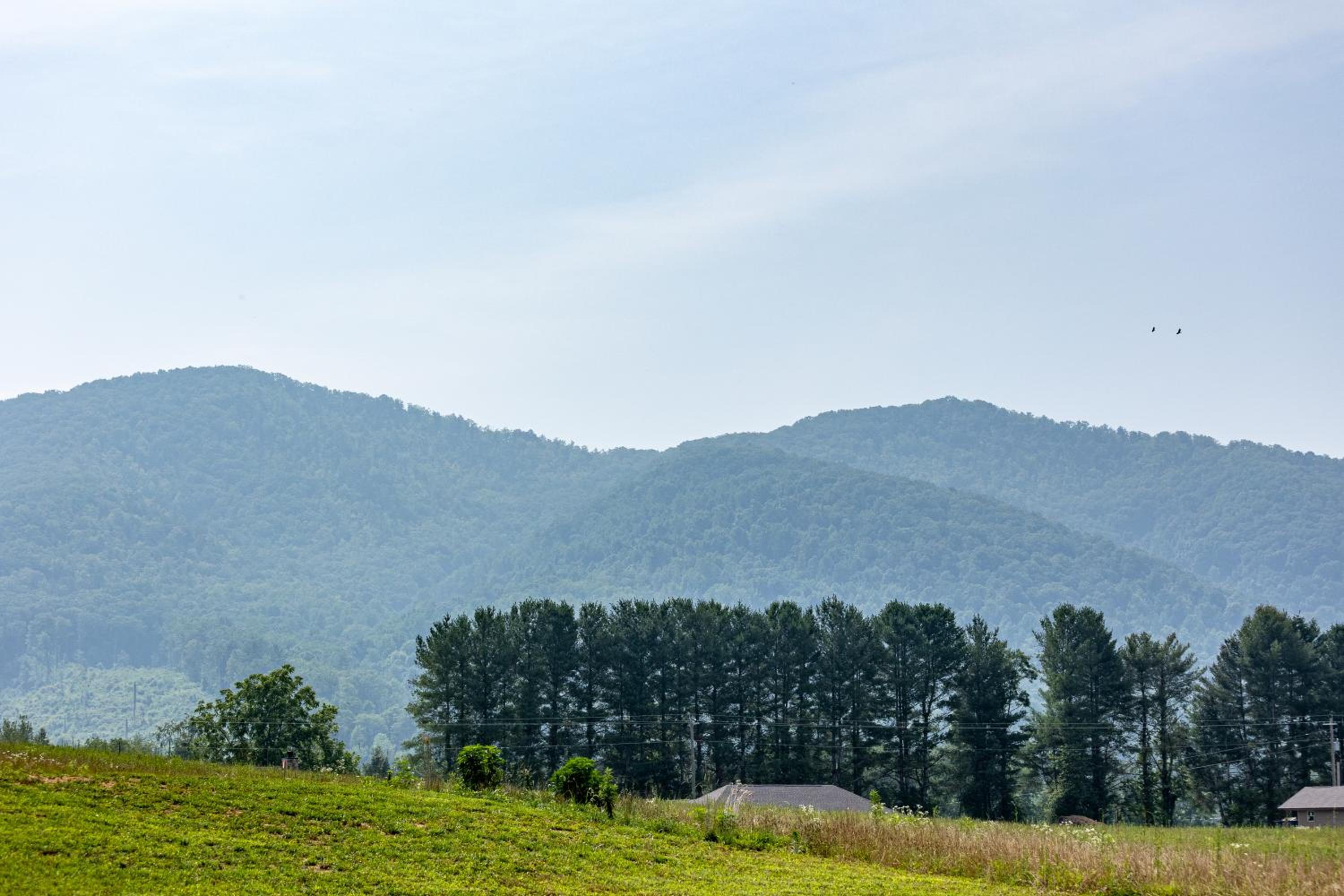 Misty Morning Meadow Breathtaking Smoky Mountain Cabin with Hot Tub, Views, & Free Tickets