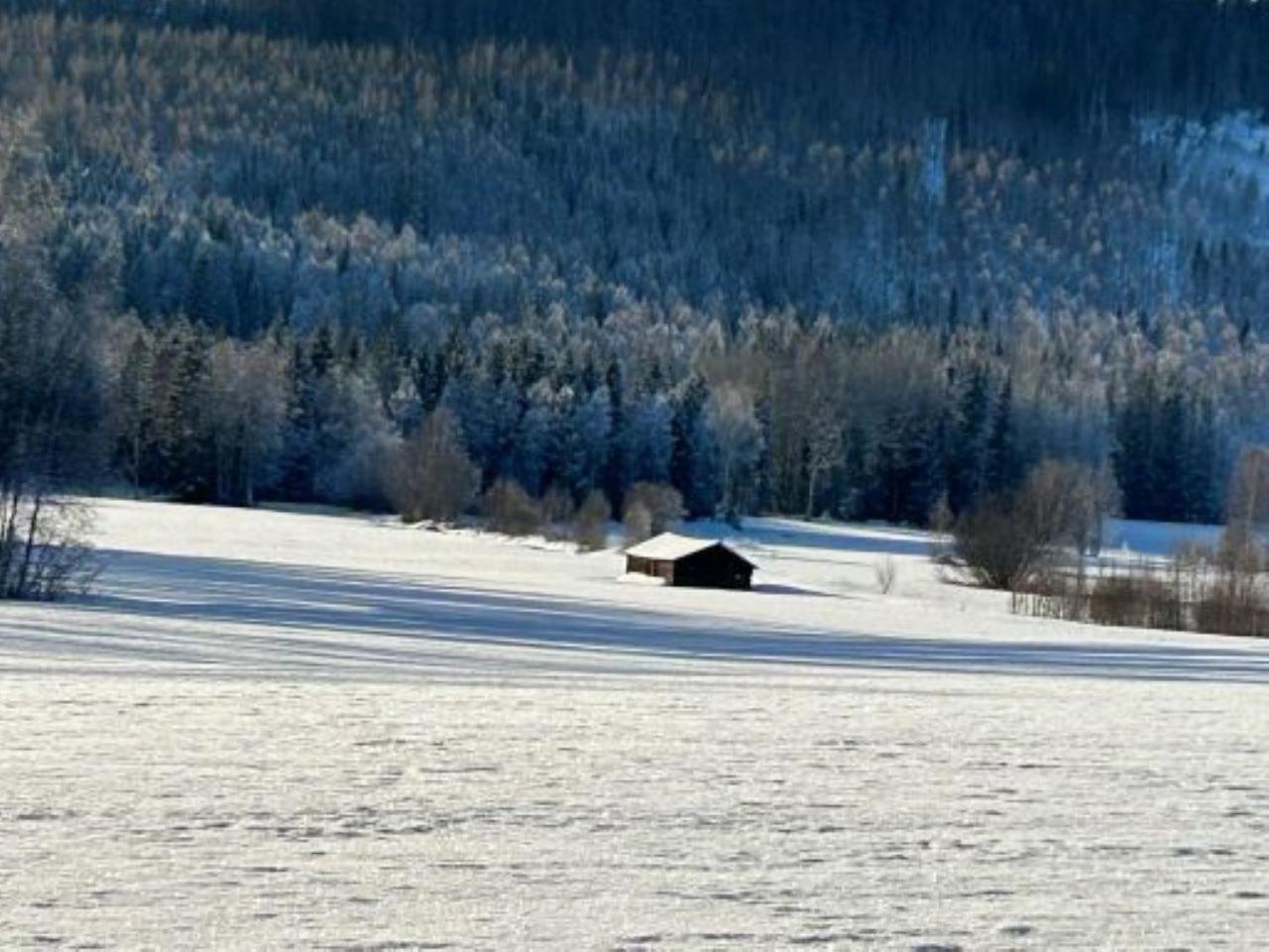 Photo 47