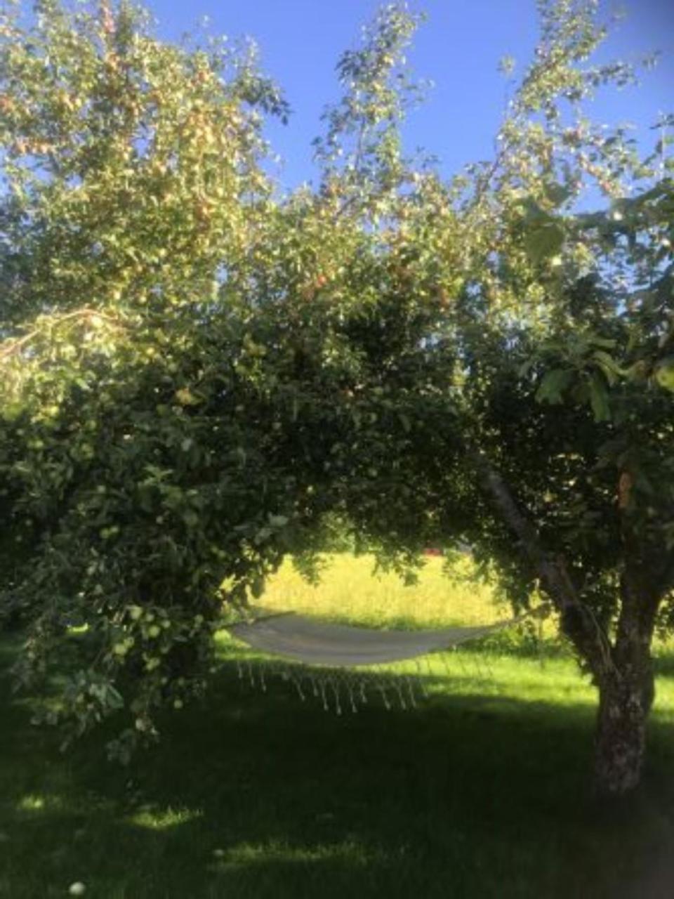 Photo 29