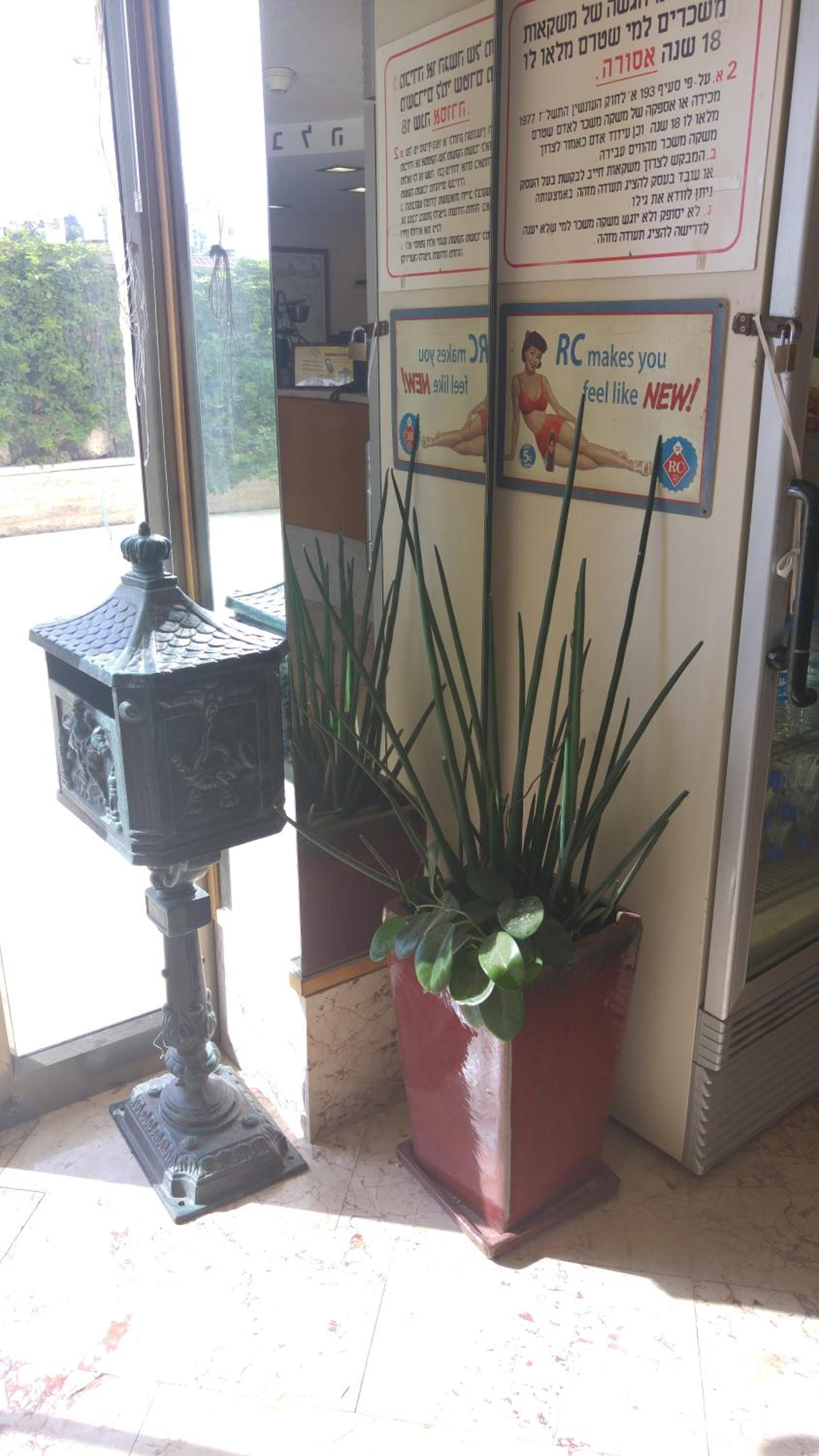 Photo 15