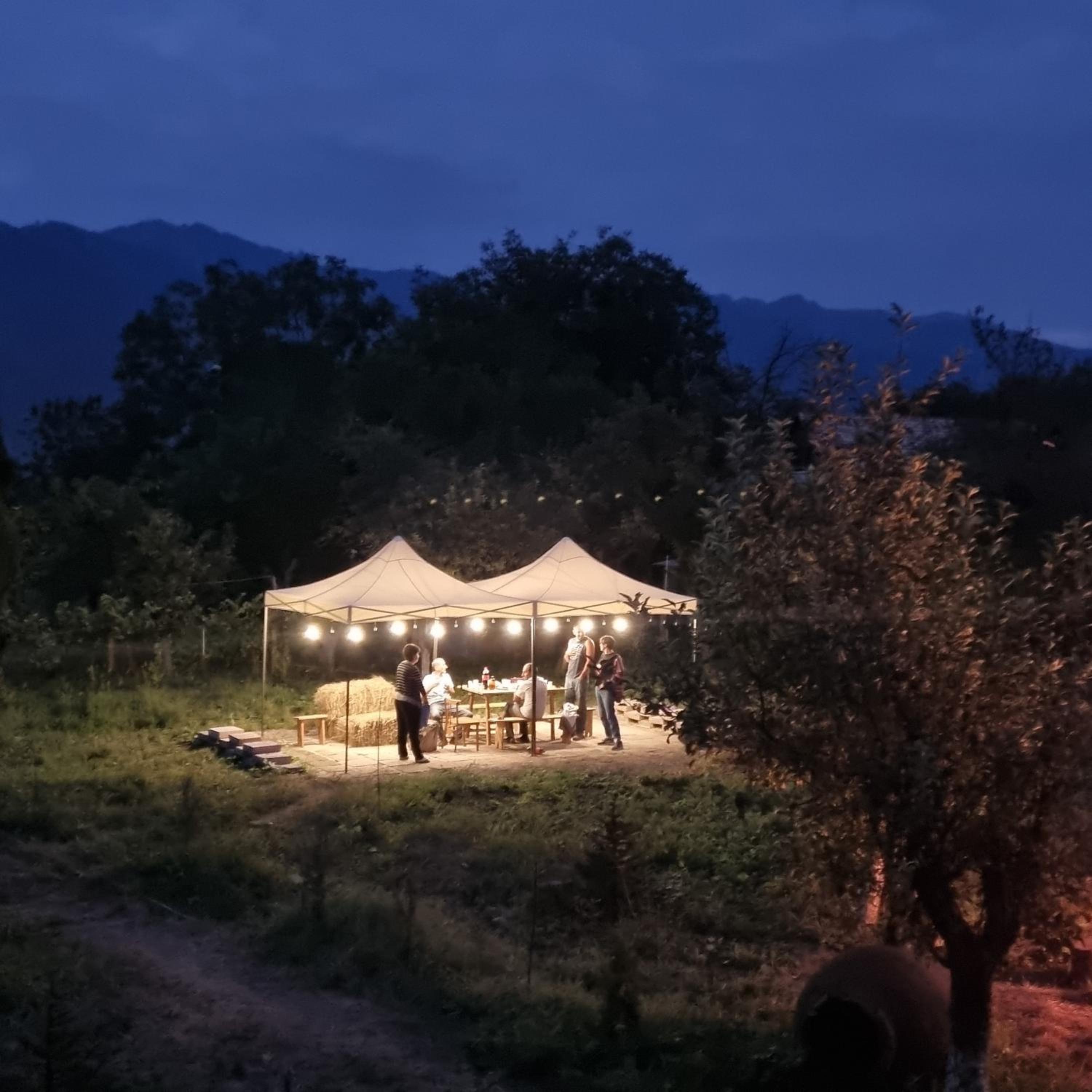 Hooni_guesthouse