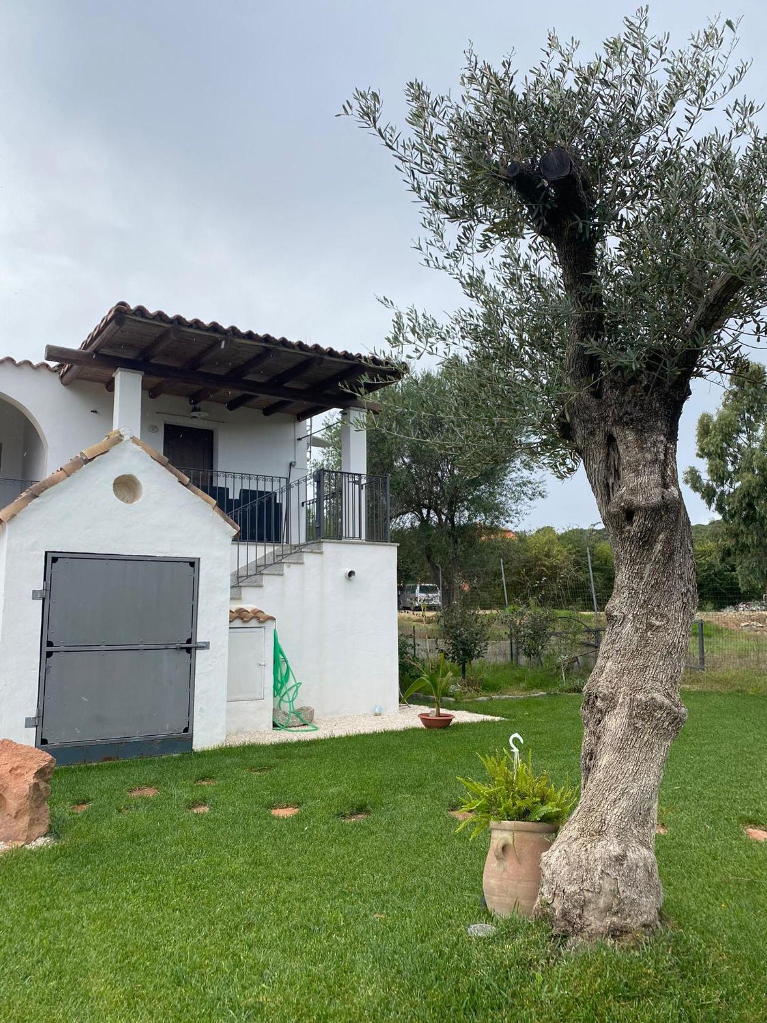 Gibilo's Home