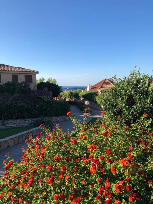 Casa Marinella