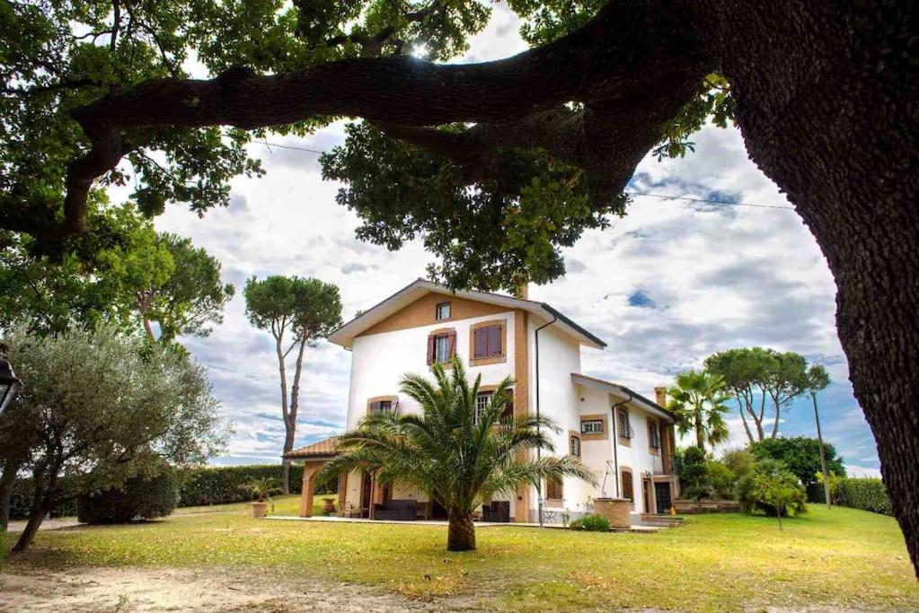 Corbezzolo