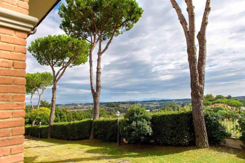 Corbezzolo