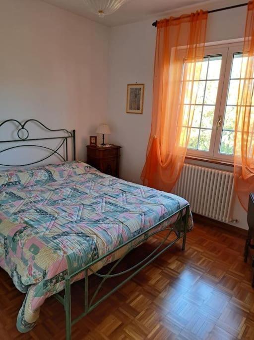 Corbezzolo