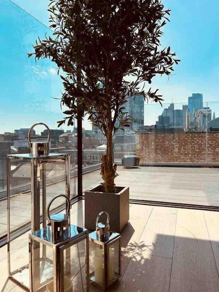 3 Bed 2 Bath Penthouse Hoxton Square with Terrace