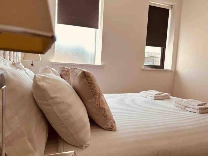 3 Bed 2 Bath Penthouse Hoxton Square with Terrace