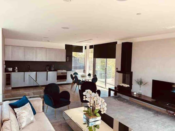 3 Bed 2 Bath Penthouse Hoxton Square with Terrace