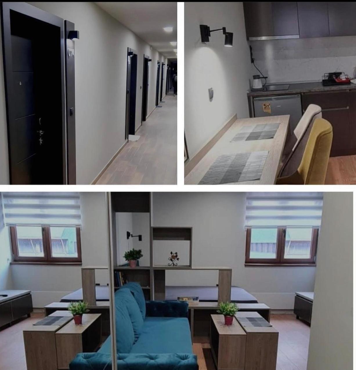 Apartman Snezni Vrh - Bela Reka, Brzece view 5