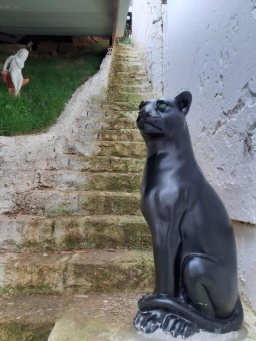 Casa 4 quartos paraiso santa efigênia reg residenc